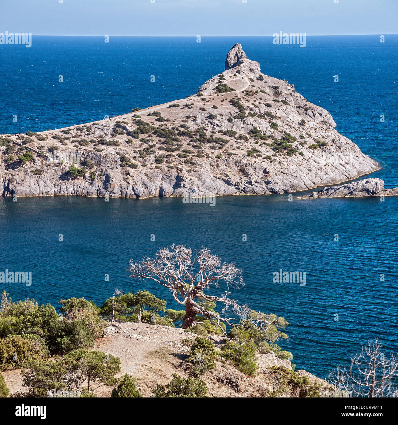 Crimea, nei pressi del villaggio di Novy Svet . Blue Bay con il royal beach. Reliquia di ginepro e pinete Foto Stock