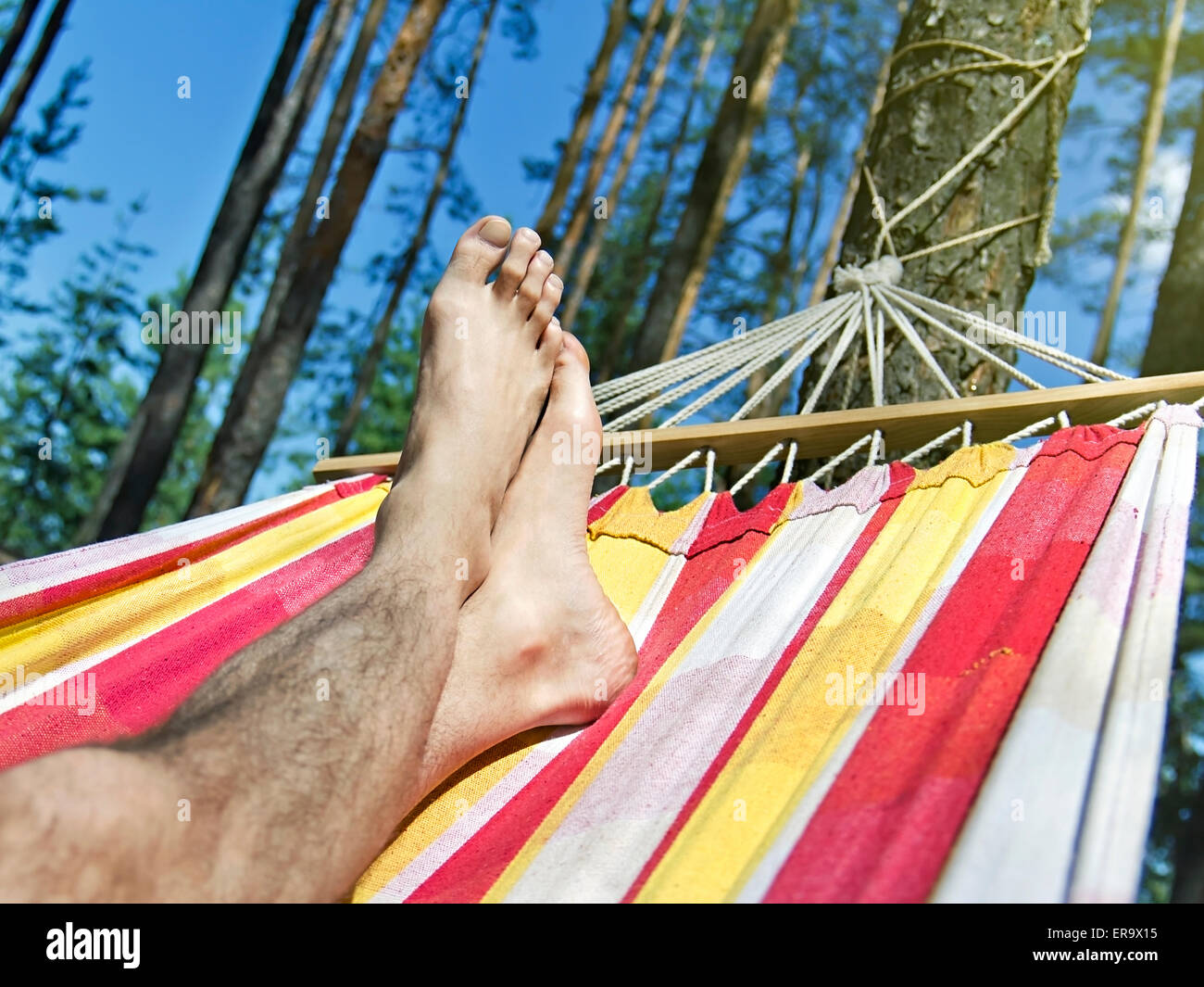 Piedi in amaca su uno sfondo di foresta di pini Foto Stock