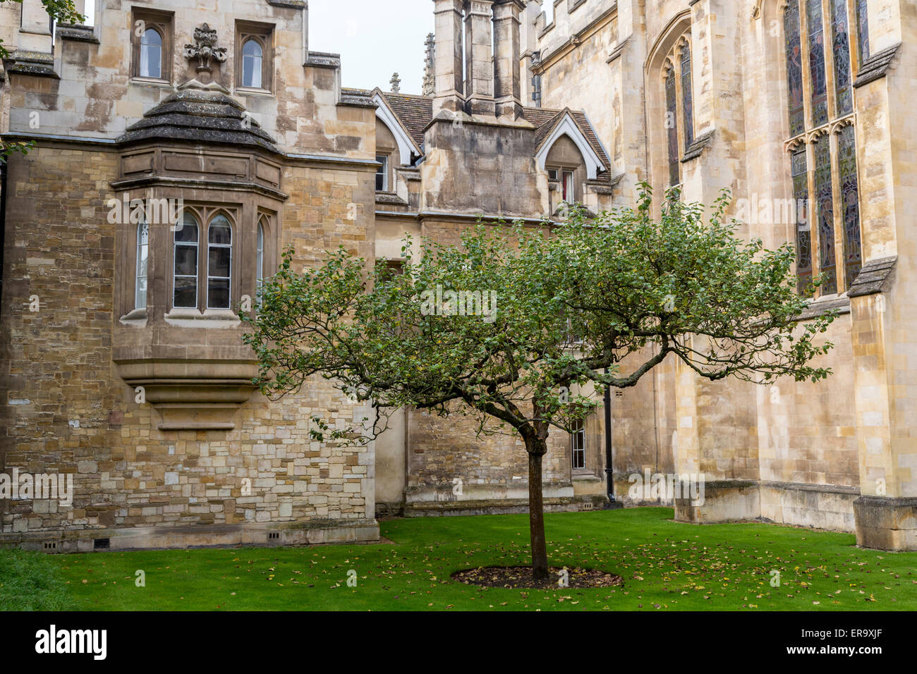 Regno Unito Inghilterra Cambridge. Finestra a Sir Isaac Newton, Alloggi Trinity College. Foto Stock