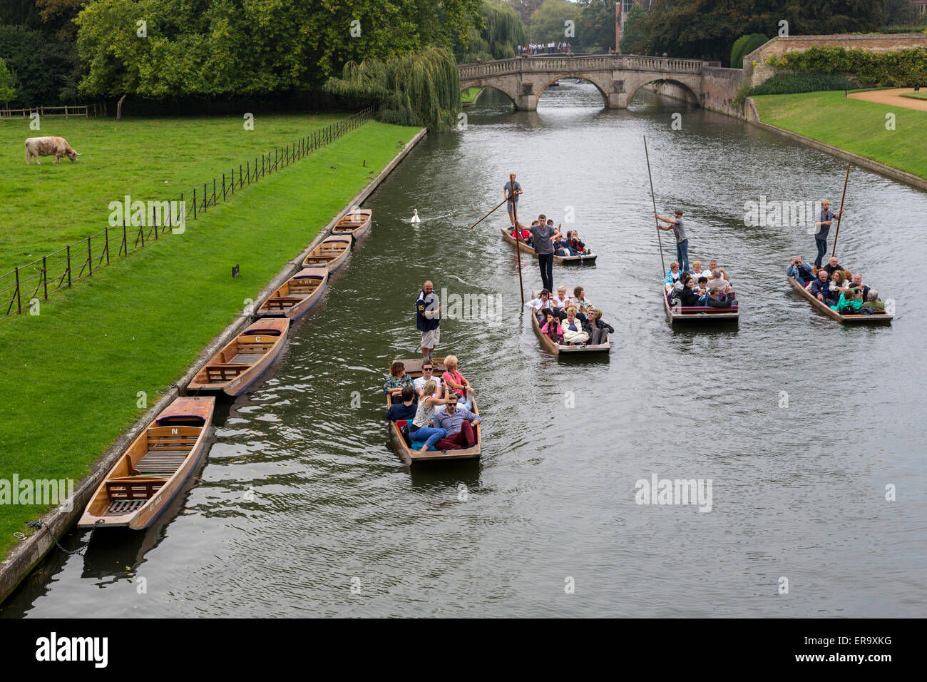 Regno Unito Inghilterra Cambridge. Punting sul fiume Cam, Clare Bridge in background. Foto Stock