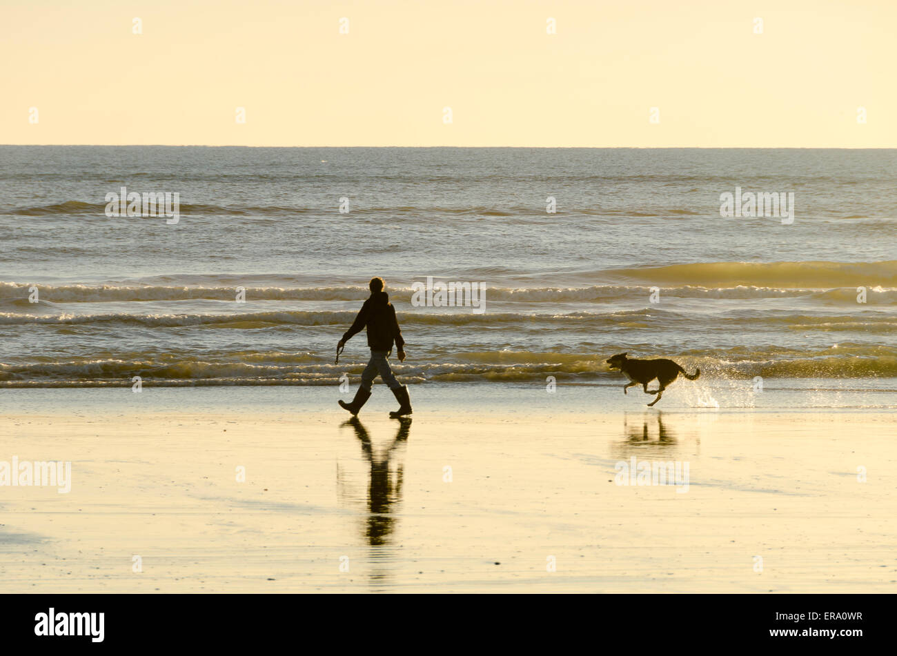 Uomo che cammina cane sulla spiaggia, Himatangi Beach, Manawatu Affitto, Isola del nord, Nuova Zelanda Foto Stock
