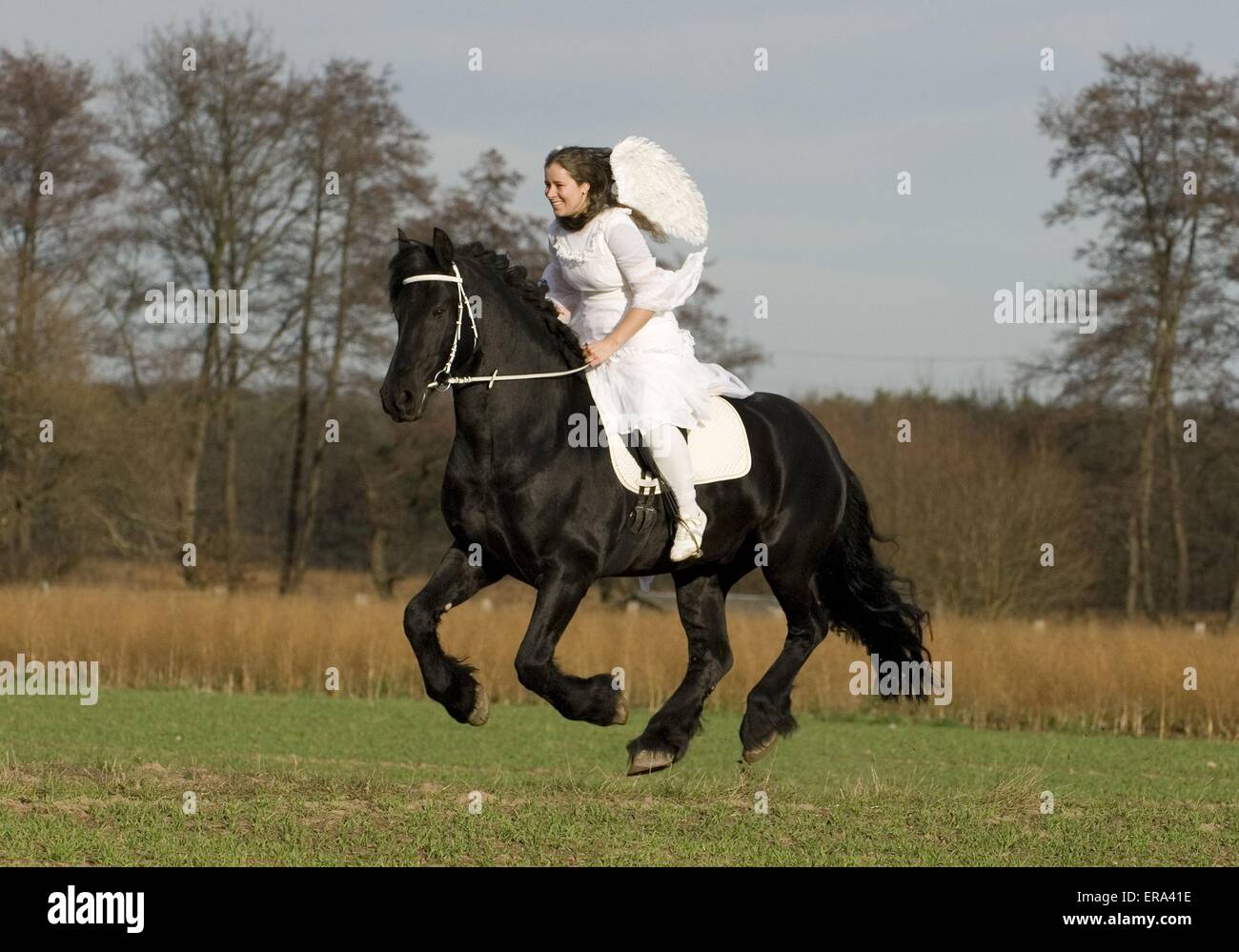 Angelo e il frisone cavallo Foto Stock