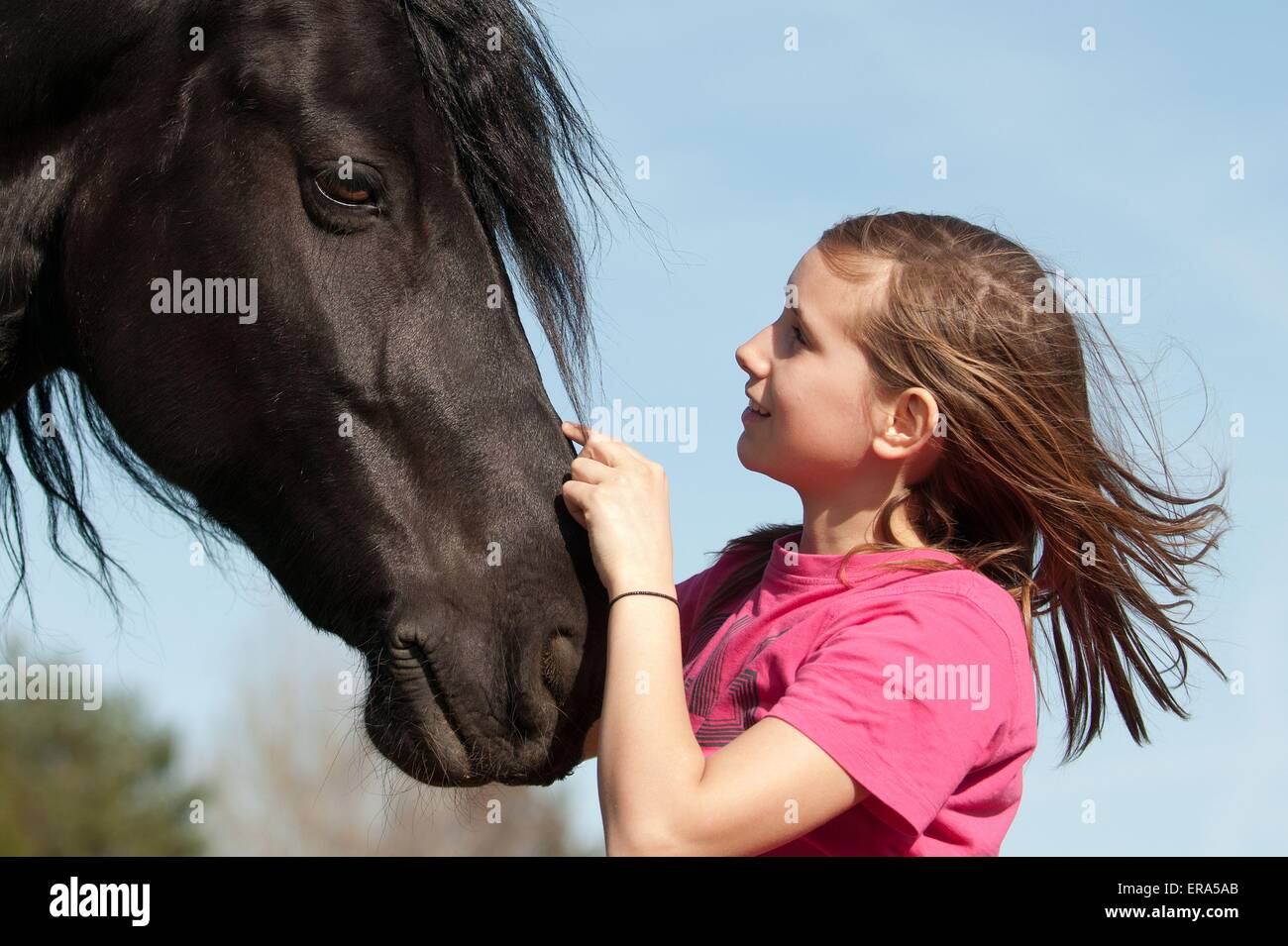 Ragazza e il frisone cavallo Foto Stock