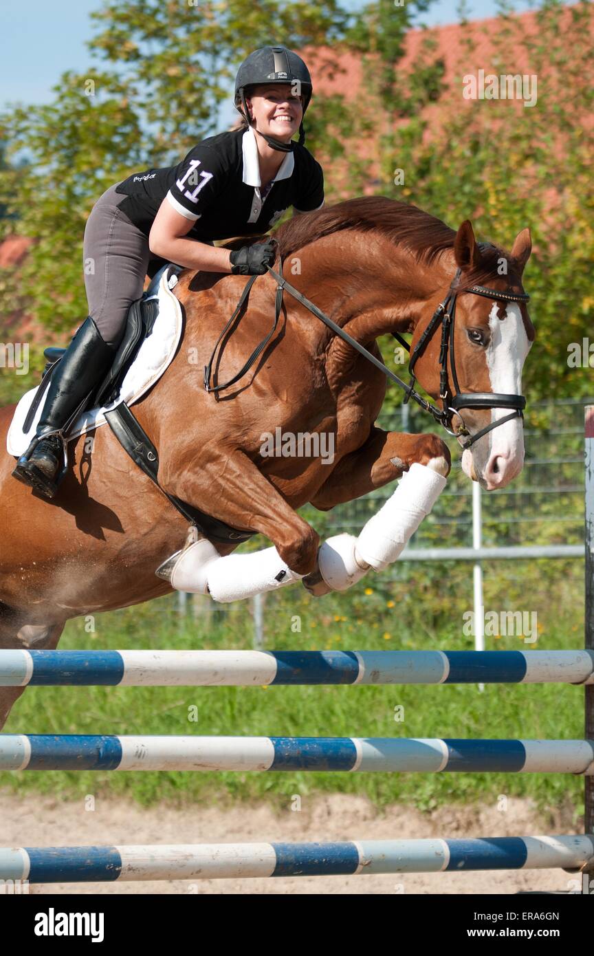 La donna corse Hessian Warmblood Foto Stock