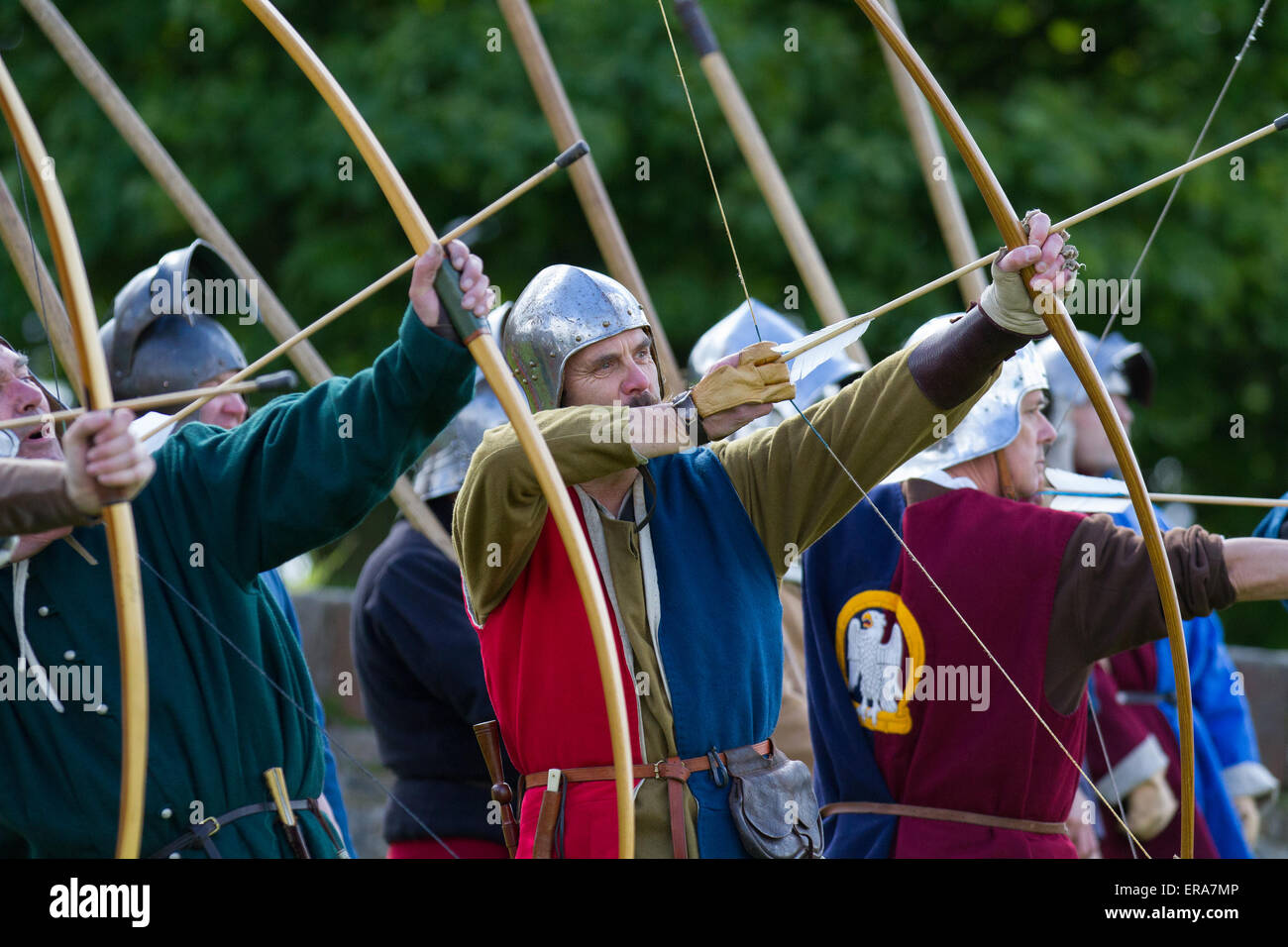 Arcieri longbow inglesi di Bowmen alla guerra delle rose re-enactment di Sir John Saviles Household e 15th ° secolo arcieri gruppo. Hoghton Tower Preston trasformato con mostre di storia vivente di artigiani, soldati e la vita quotidiana dall'era di Elizabeth Woodville (la regina bianca) e Richard III Conosciuta come la Guerra dei cugini o Guerra delle Rose fu la lotta dinastica tra le famiglie reali di York e Lancaster che rivendicarono ciascuna il loro diritto di governare dai loro legami con l'usurpato Edoardo III Hoghton, Lancashire, Regno Unito. Maggio, 2015. Foto Stock