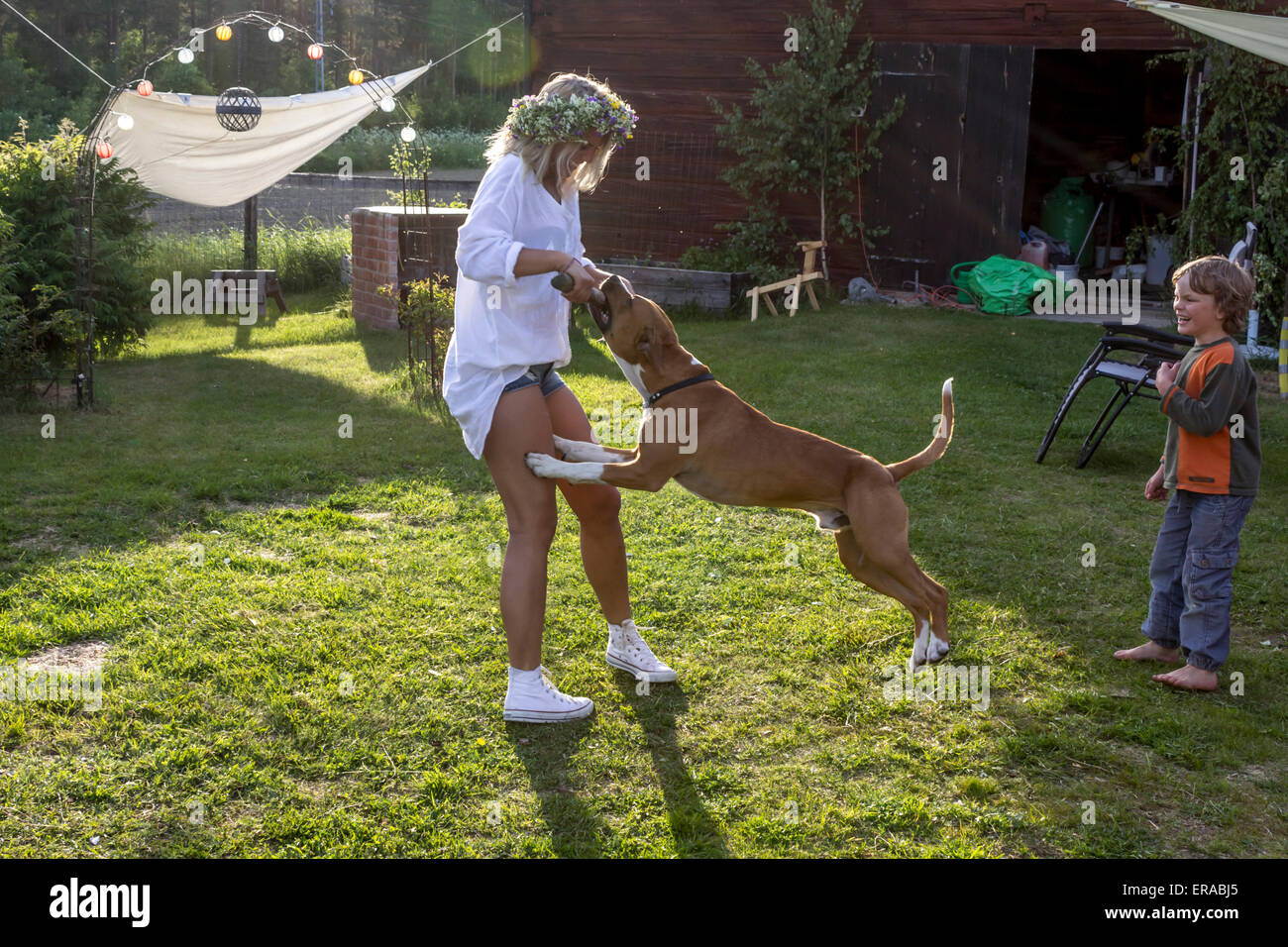 Giovane Donna che gioca con un cane mentre suo fratello più giovane orologi Foto Stock