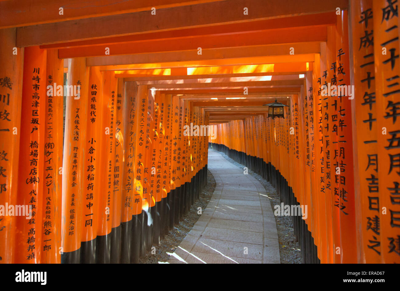Torii gates in Fushimi Inari Shrine, Kyoto, Giappone Foto Stock