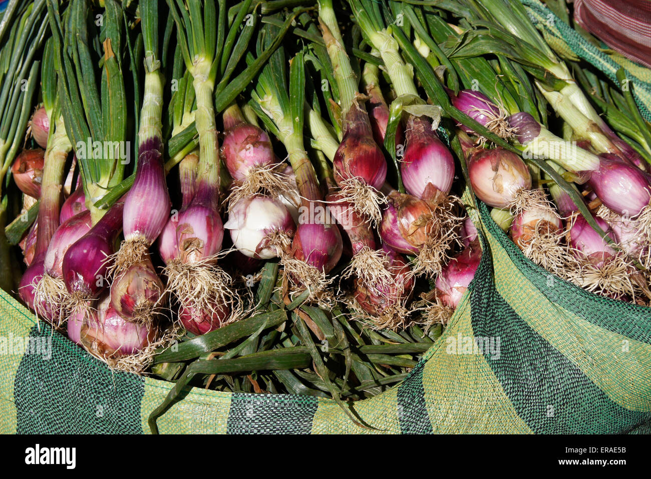 Cipolle per la vendita nel mercato di domenica, Urcos (regione di Cuzco, Perù Foto Stock