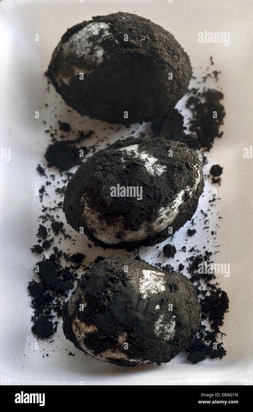 Salate Duck egg - una prelibatezza in molte parti dell'Asia Foto Stock