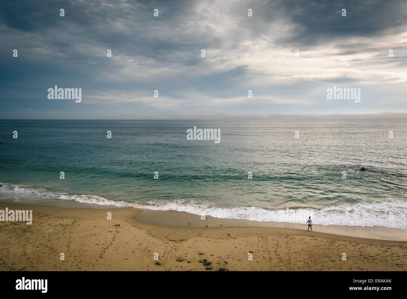 Vista di una spiaggia in Laguna Beach in California. Foto Stock