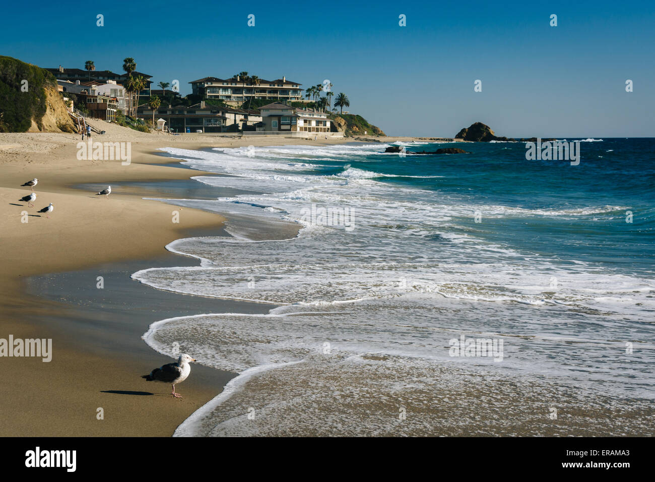 Onde e gabbiani nell'Oceano Pacifico in Spiaggia Victoria, in Laguna Beach in California. Foto Stock