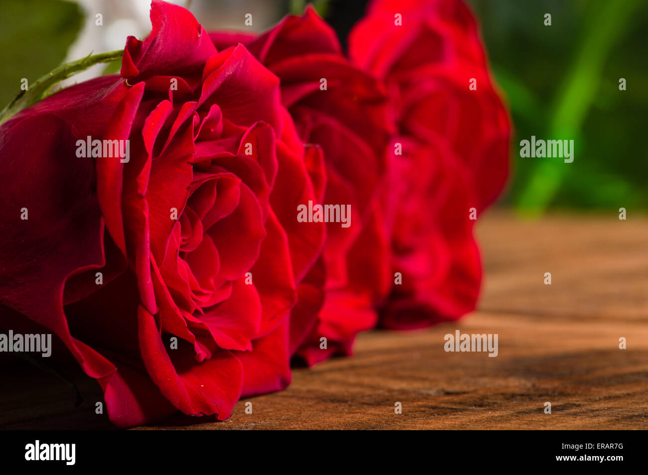 Rose rosse sul tavolo di legno strette con la messa a fuoco Foto Stock