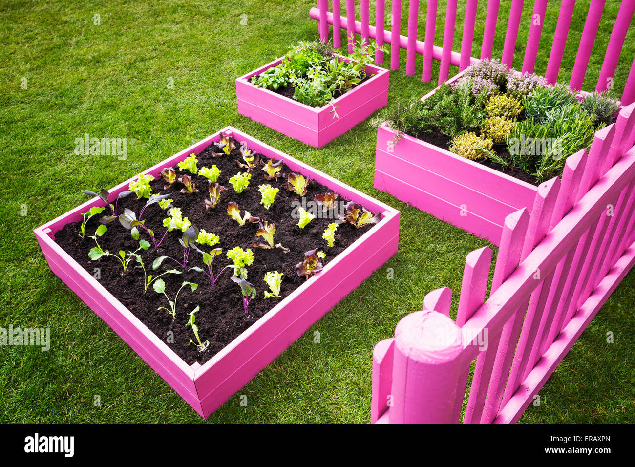 Piccolo giardino di erbe aromatiche. Rosa letti sollevata con erbe e verdure. Elegante design del giardino Foto Stock