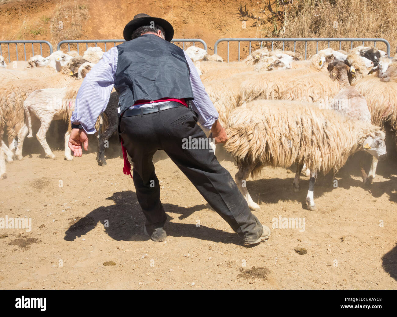 Sabato, 30 maggio 2015, Gran Canaria, Isole Canarie, Spagna. Più di trenta agricoltori raccolgono nel villaggio di montagna di pecore di taglio a mano ad annuale "Fiesta de La lana' (lana festival) su ' Dia de Canarias' Canarian Giornata Nazionale. Credito: ALANDAWSONPHOTOGRAPHY/Alamy Live News Foto Stock