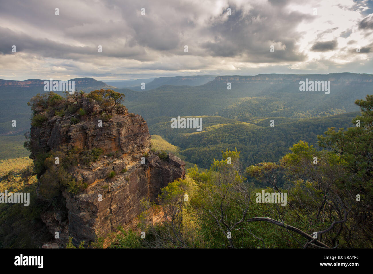 Blue Mountains dell Australia . Foto Stock