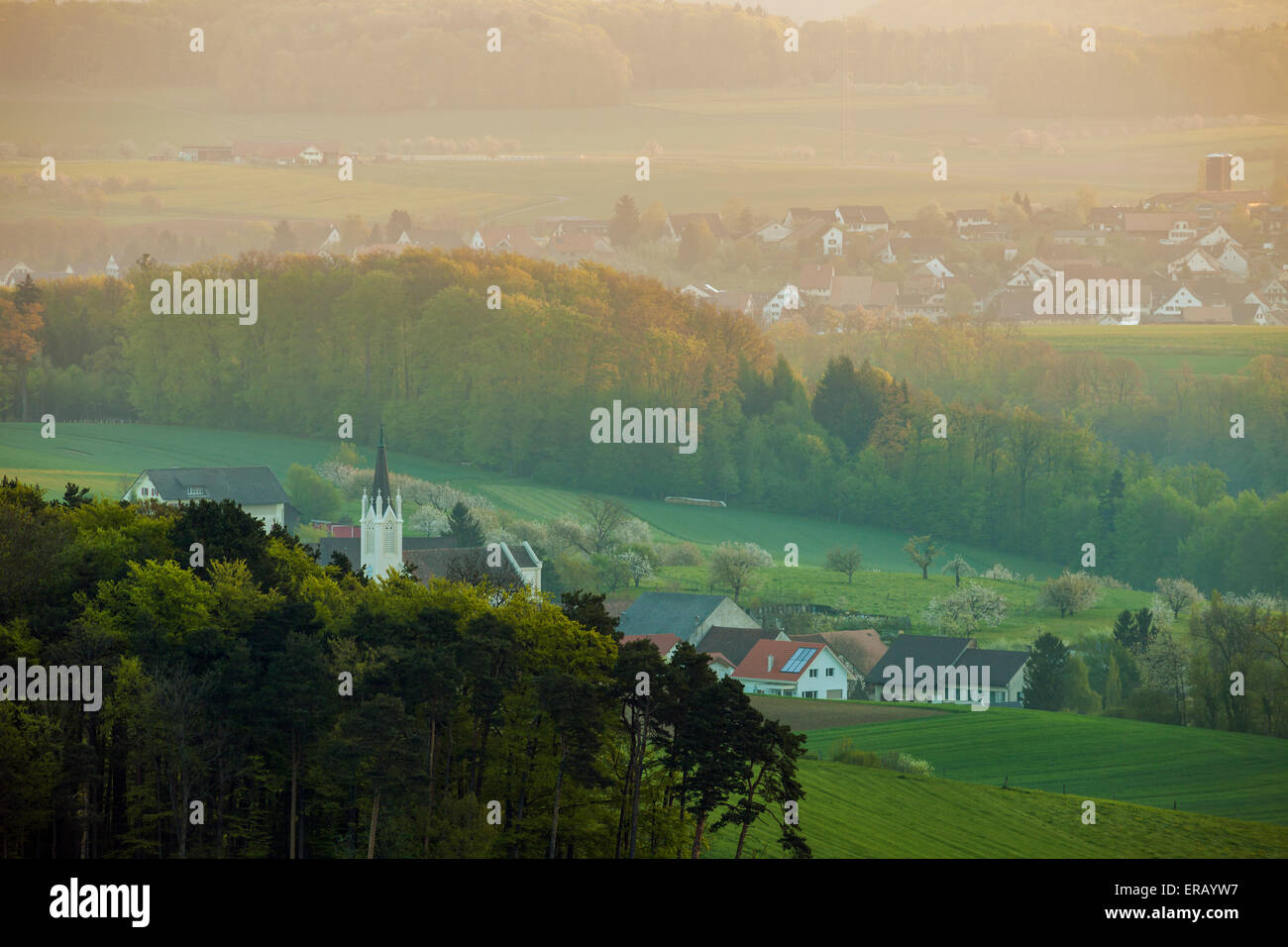 Mattina di primavera nella Svizzera campagna vicino Zeglingen, canton Basel-Country, Svizzera. Foto Stock