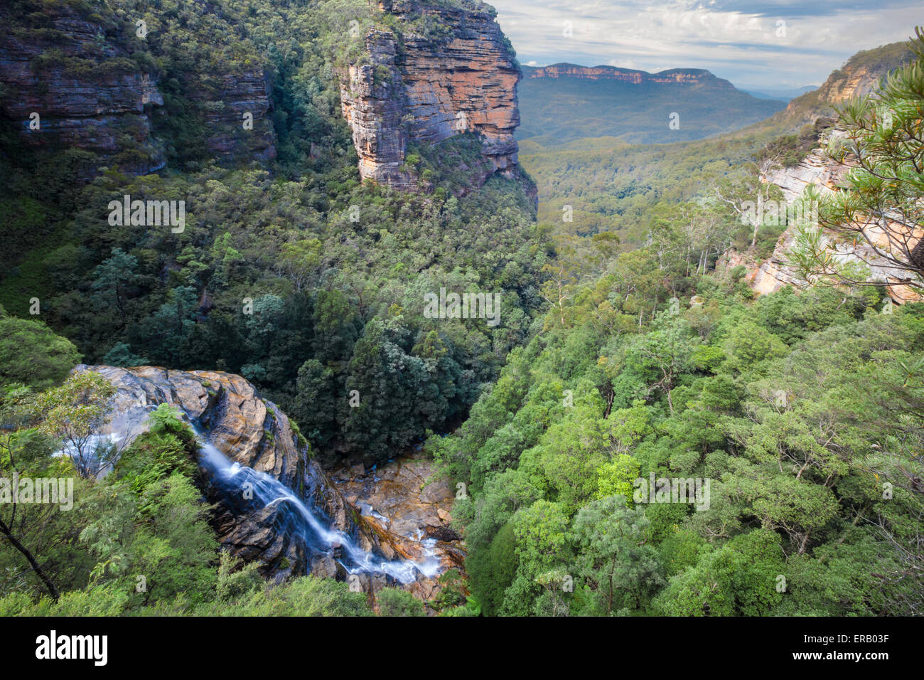 Wentworth Falls, Blue Mountains, Australia. Foto Stock