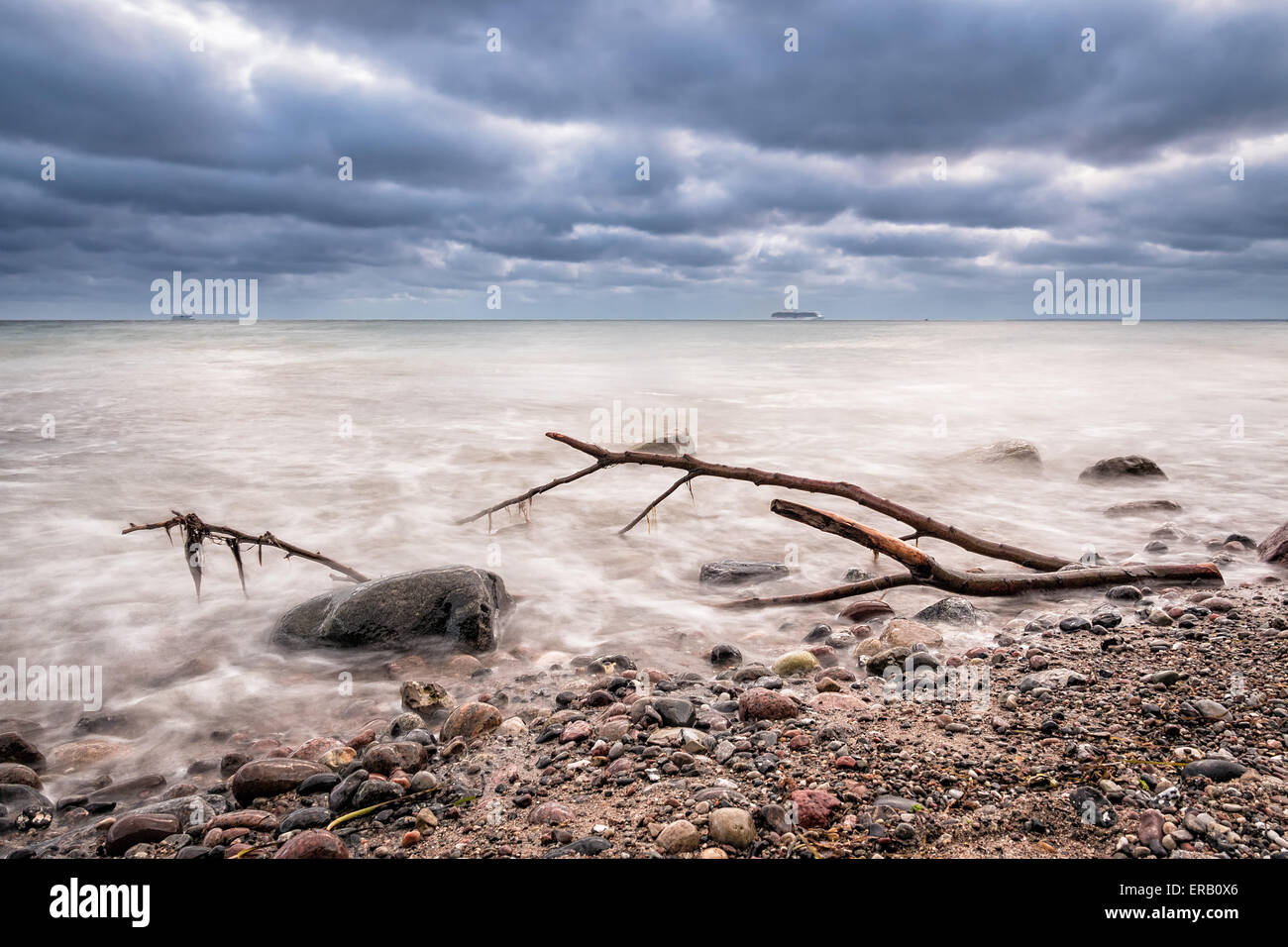 Il legno deriva sulla riva del Mar Baltico Foto Stock