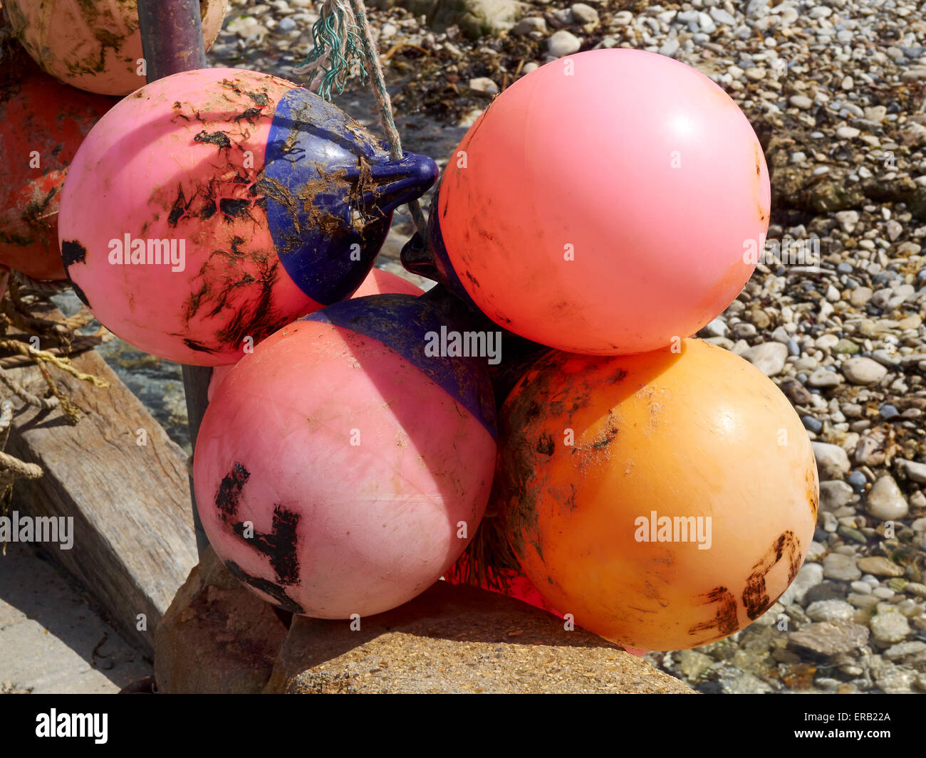Vivacemente colorato ma usato pesantemente e indossato le boe di segnalazione utilizzati dai pescatori per contrassegnare la posizione dei granchi e aragoste pentole. Foto Stock
