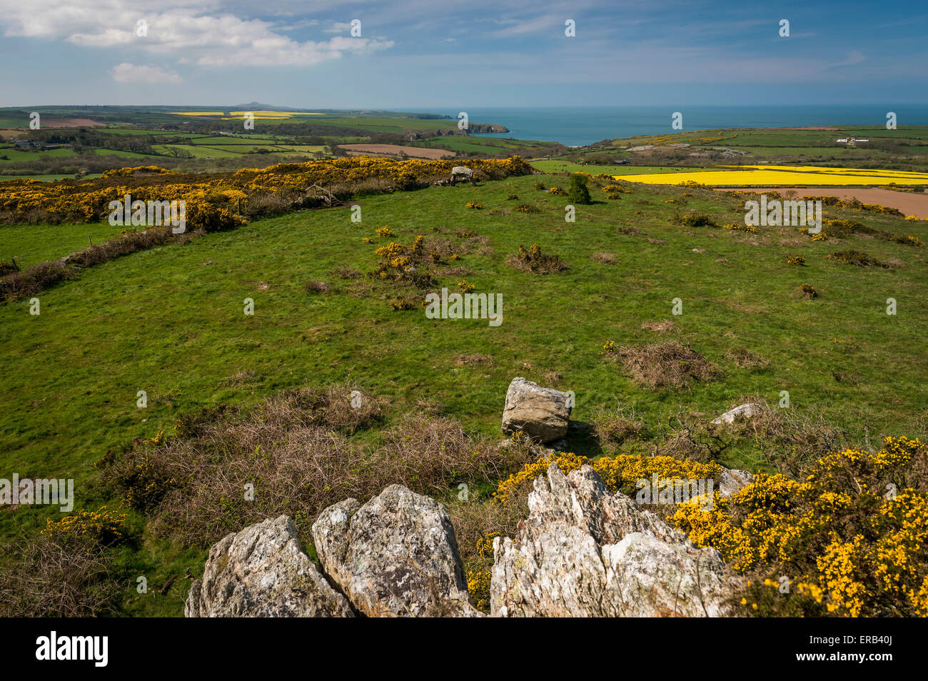 Vista del Pembrokeshire Coast e Ffyst Sansone Chambered Neolitico tomba Foto Stock