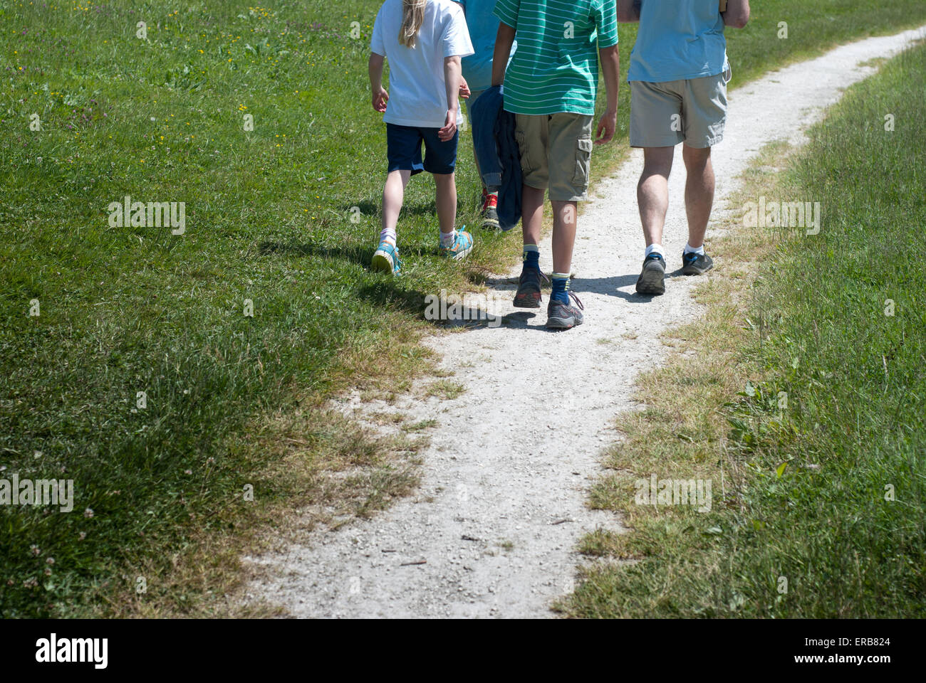 Un gruppo di famiglia a passeggiare su un percorso di paese Foto Stock