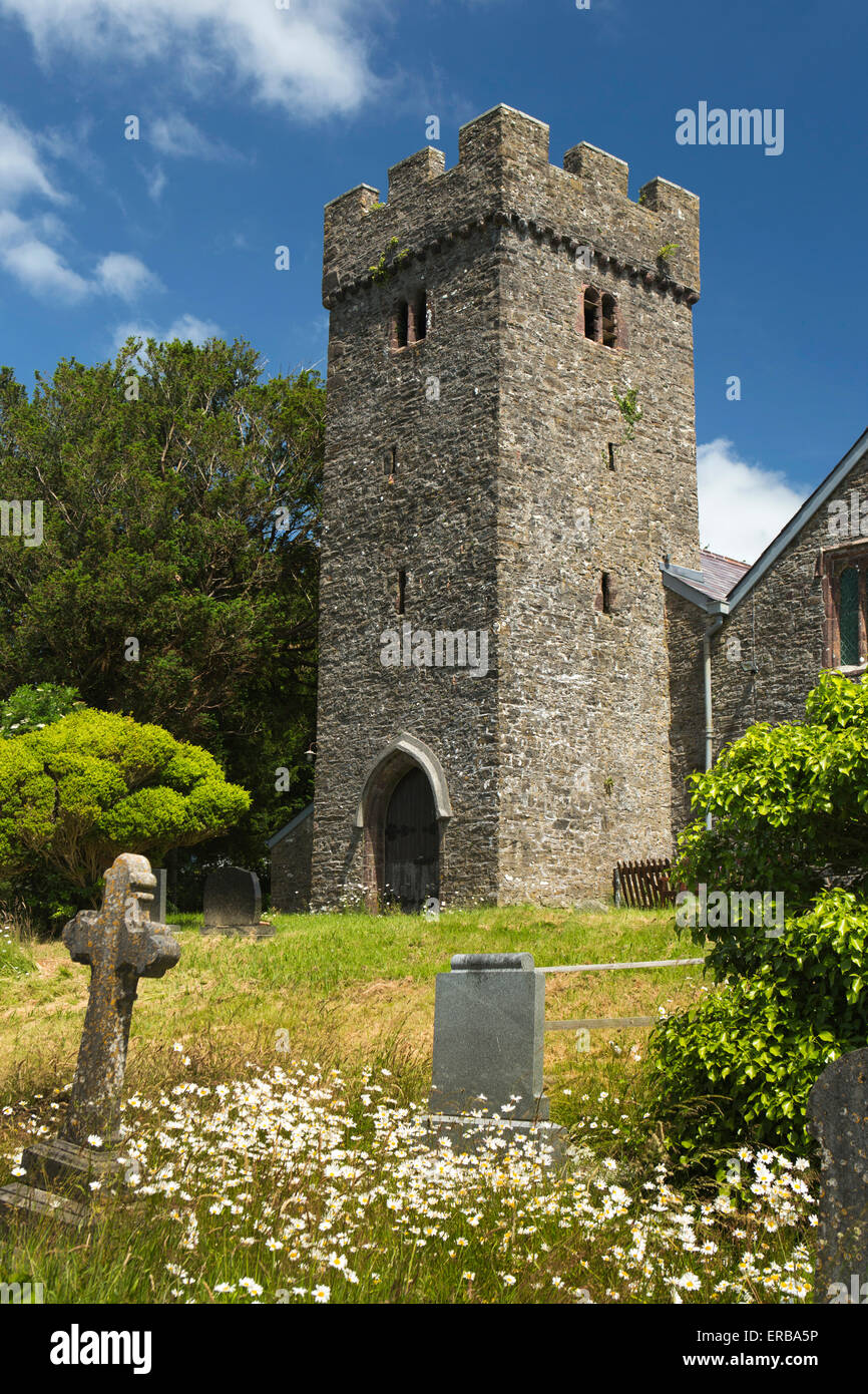 Il Galles, Carmarthenshire, Llangathen, Saint Cathen la chiesa di fiori selvatici nel sagrato della chiesa Foto Stock