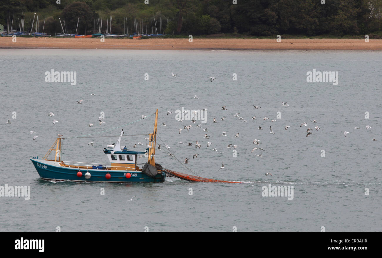 Barca da pesca in Southampton acqua di ritorno al dock seguita da gabbiani Foto Stock