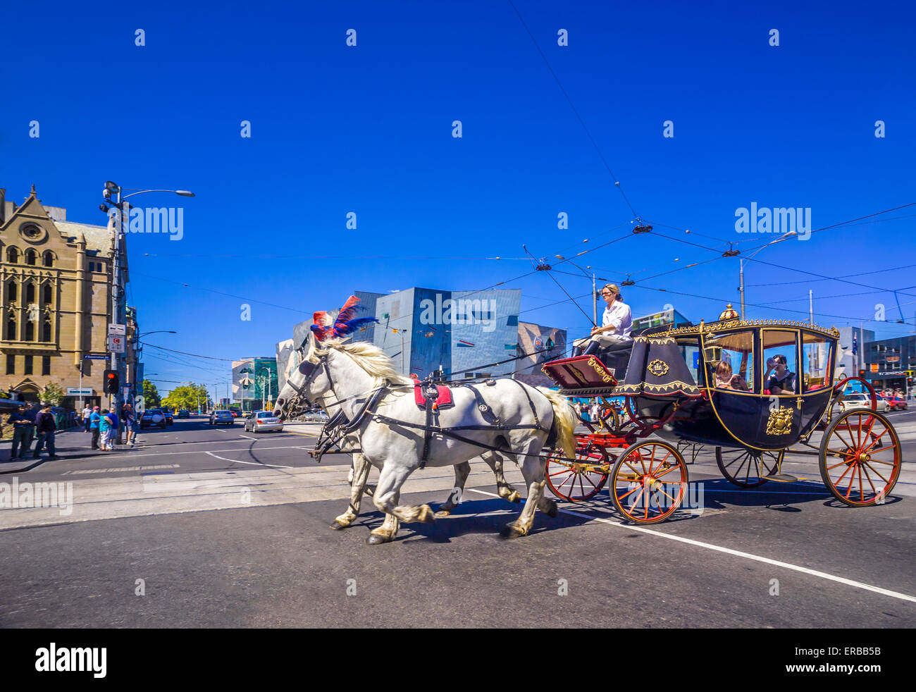 Due cavalli bianchi nel sistema di cavi che trasportano gilt golden carrello. Vista-sseing in Melbourne lungo Swanston Street, Australia Foto Stock