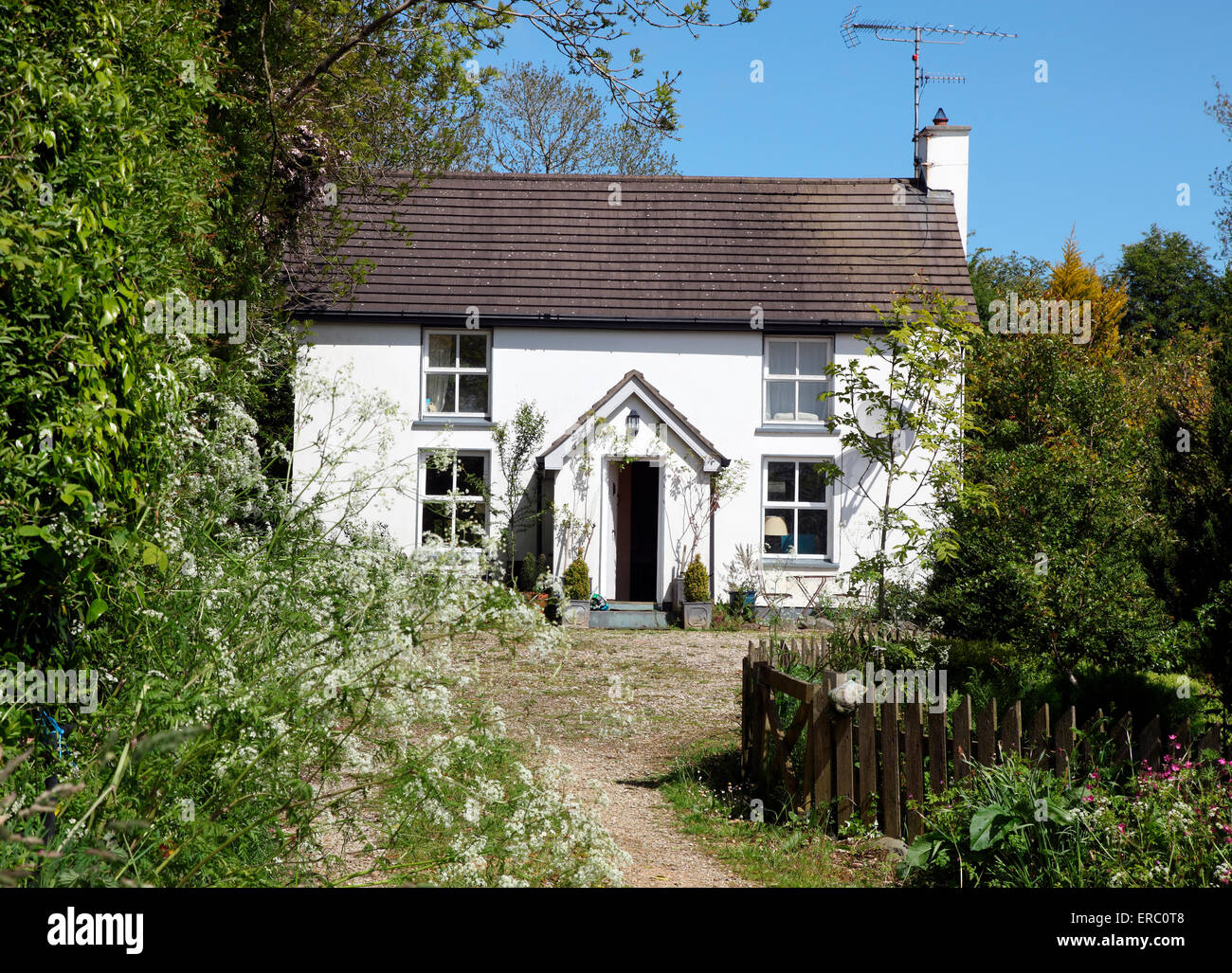 Cottage irlandese Co. Monaghan Foto Stock
