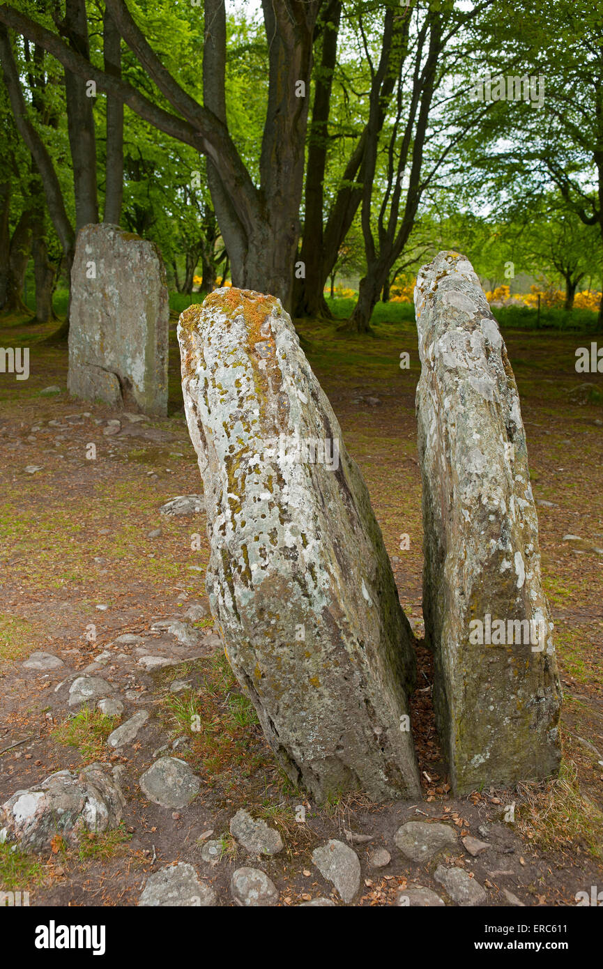 Una delle molte pietre permanente presso la clava Cairns Neolitico antico luogo di sepoltura SCO 9827 Foto Stock