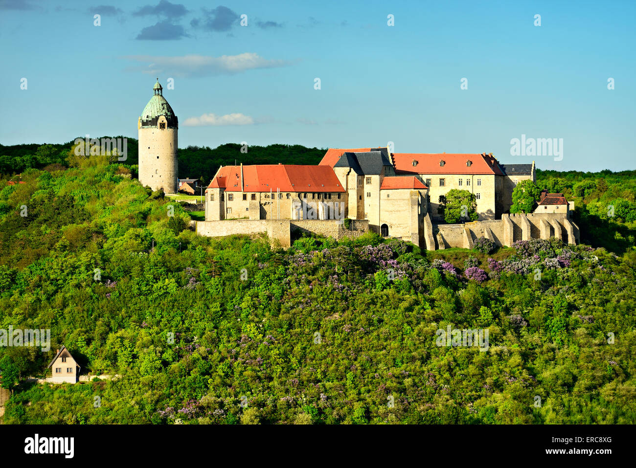 Il castello di Neuenburg, Freyburg, Burgenlandkreis, Sassonia-Anhalt, Germania Foto Stock