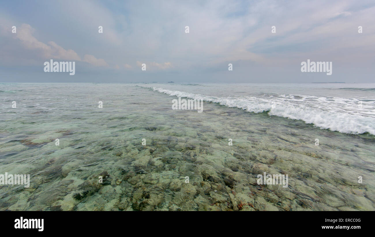 Mattina sulla costa dell'oceano Foto Stock