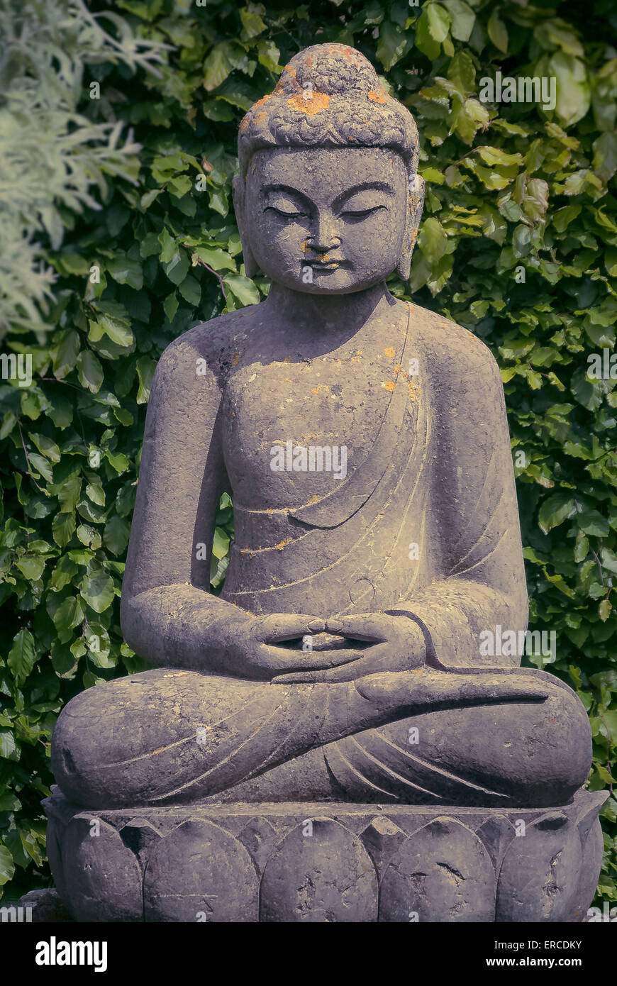 Statua di Buddha in giardino Foto Stock