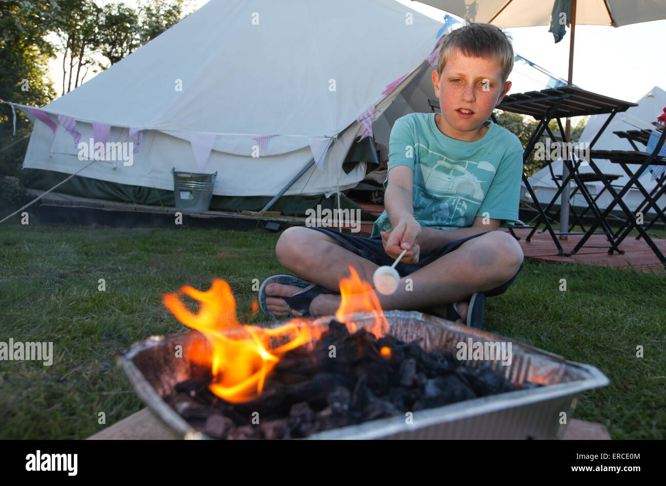 Un ragazzo la tostatura marshmallows mentre campeggio nel Regno Unito Foto Stock