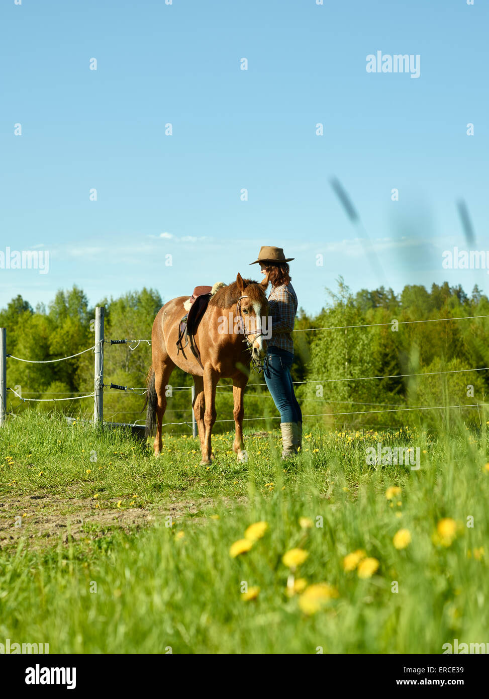 Cowgirl e pony insieme, soleggiata bellissima giornata estiva Foto Stock