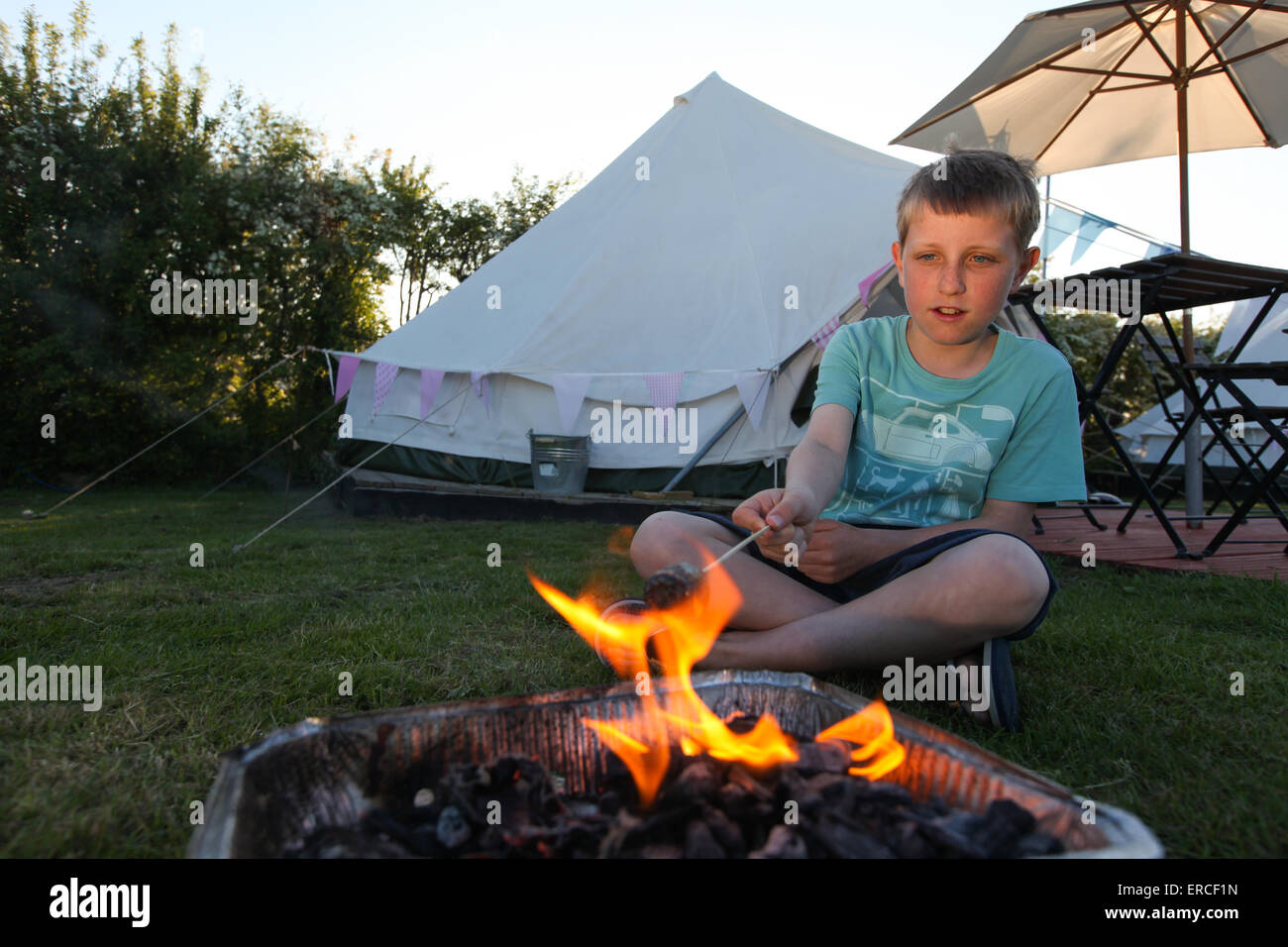 Un ragazzo la tostatura marshmallows mentre campeggio nel Regno Unito Foto Stock