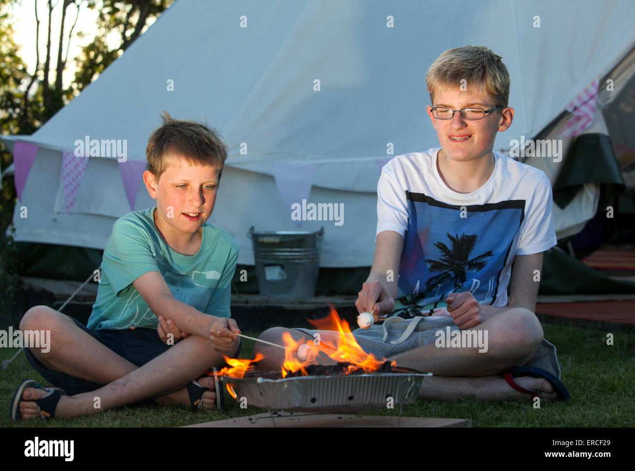 Bambini marshmallows tostatura su un fuoco di campo mentre glamping camping NEL REGNO UNITO Foto Stock
