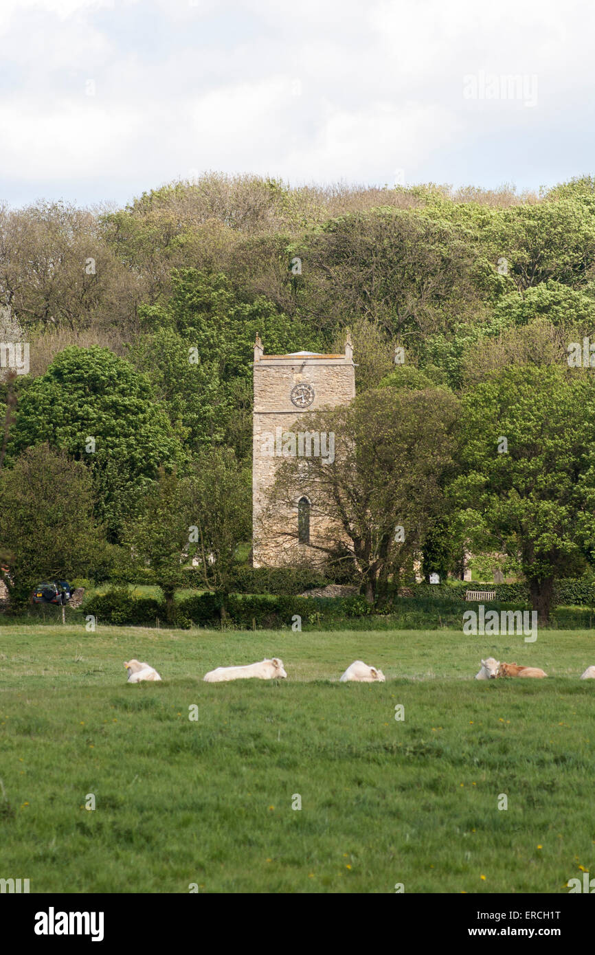 Torre sassone di chiesa Harpswell visto dal sito della medievale moated Manor House. Foto Stock