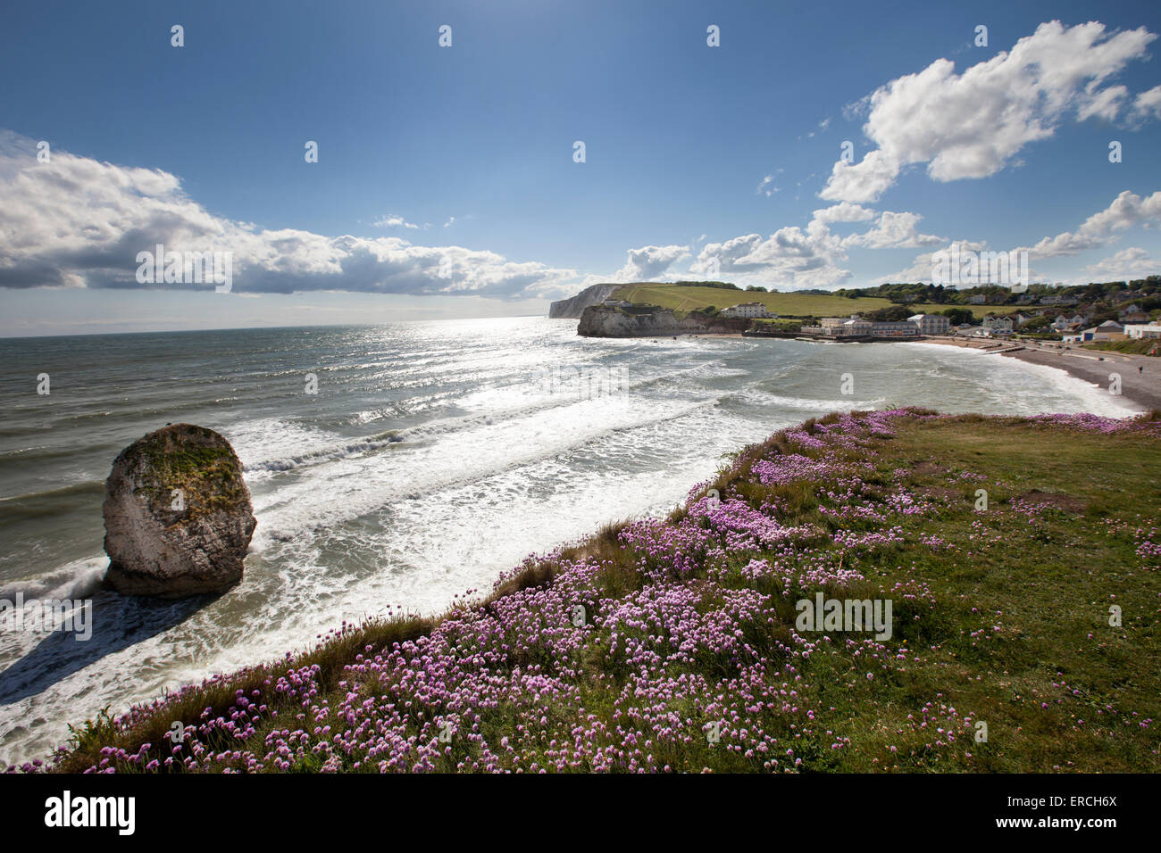 Spettacolare costa alla baia di acqua dolce e scogliere sull'Isola di Wight REGNO UNITO Foto Stock