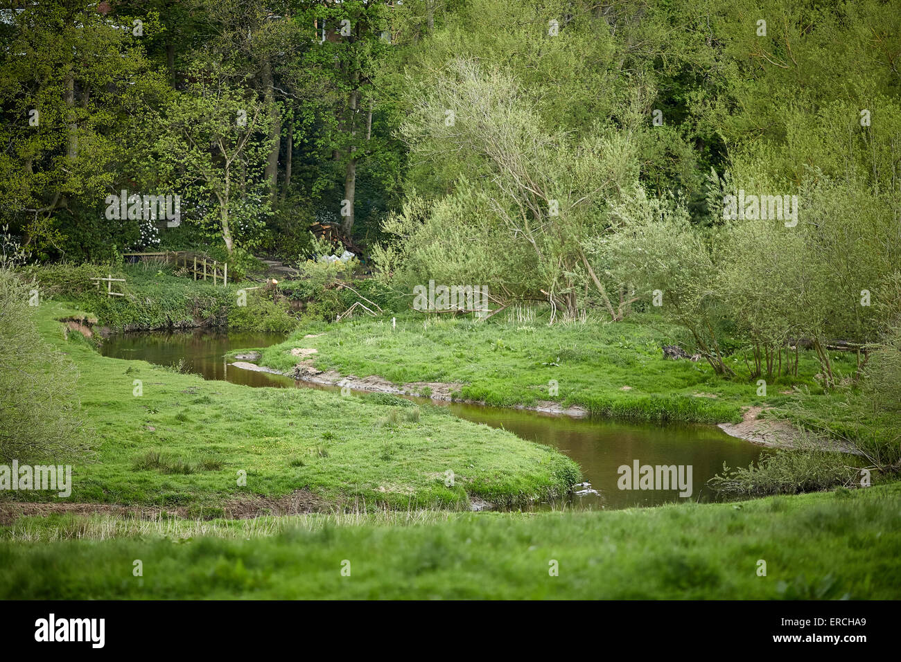 Foto di Wilmslow del Fiume Bollin si snoda attraverso boschi vicino Adlington Road UK Gran Bretagna British Regno Unito Europa Foto Stock