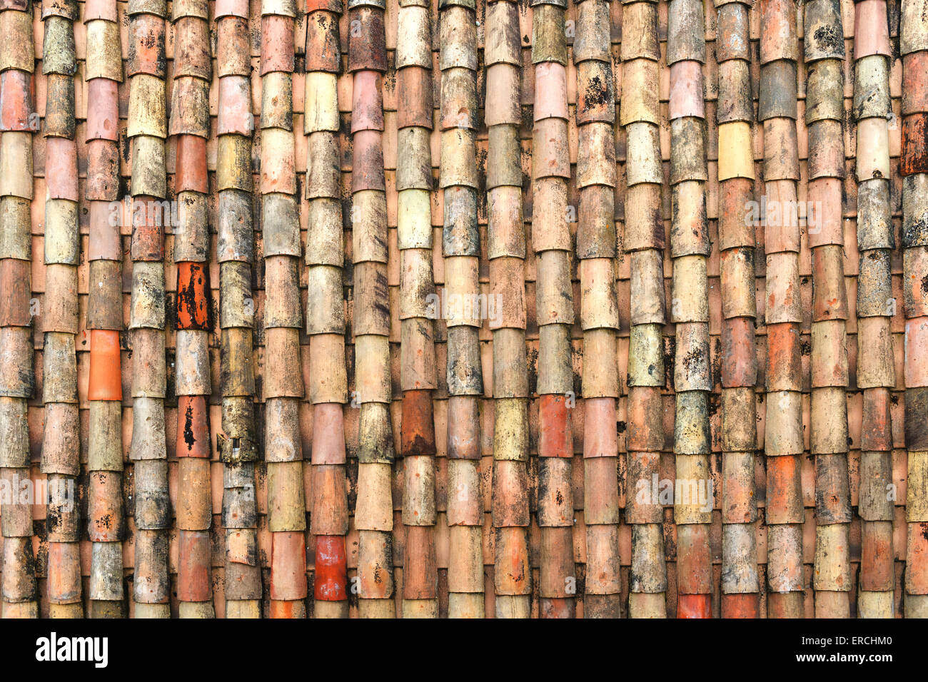 Traditionals antiche piastrelle coperte da fungo e modello in schiuma Foto Stock