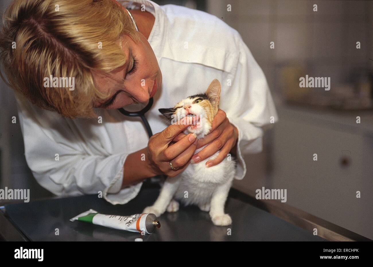 Somministrare un farmaco Foto Stock