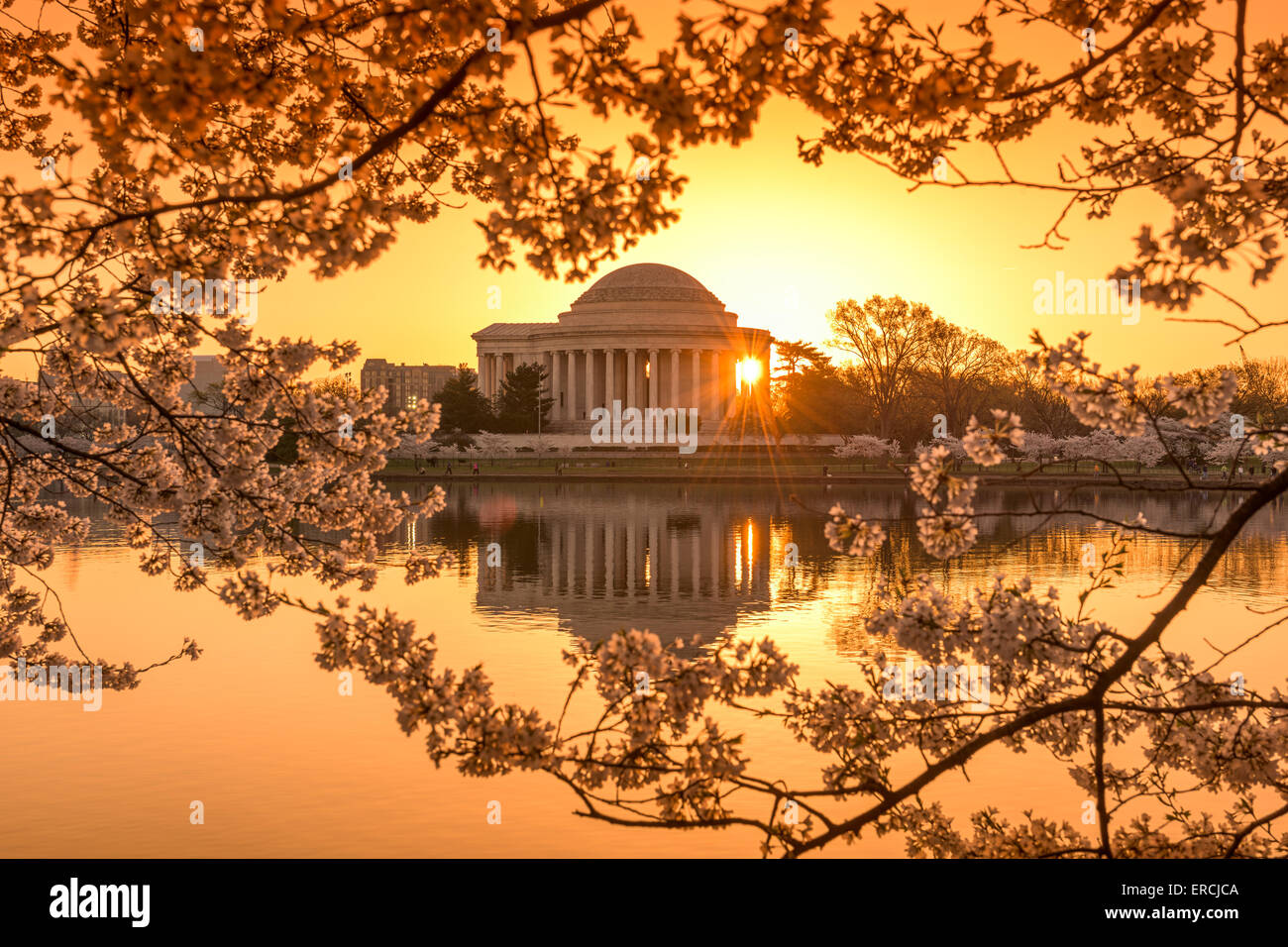 Washington, DC con il bacino di marea e Jefferson Memorial durante la primavera. Foto Stock