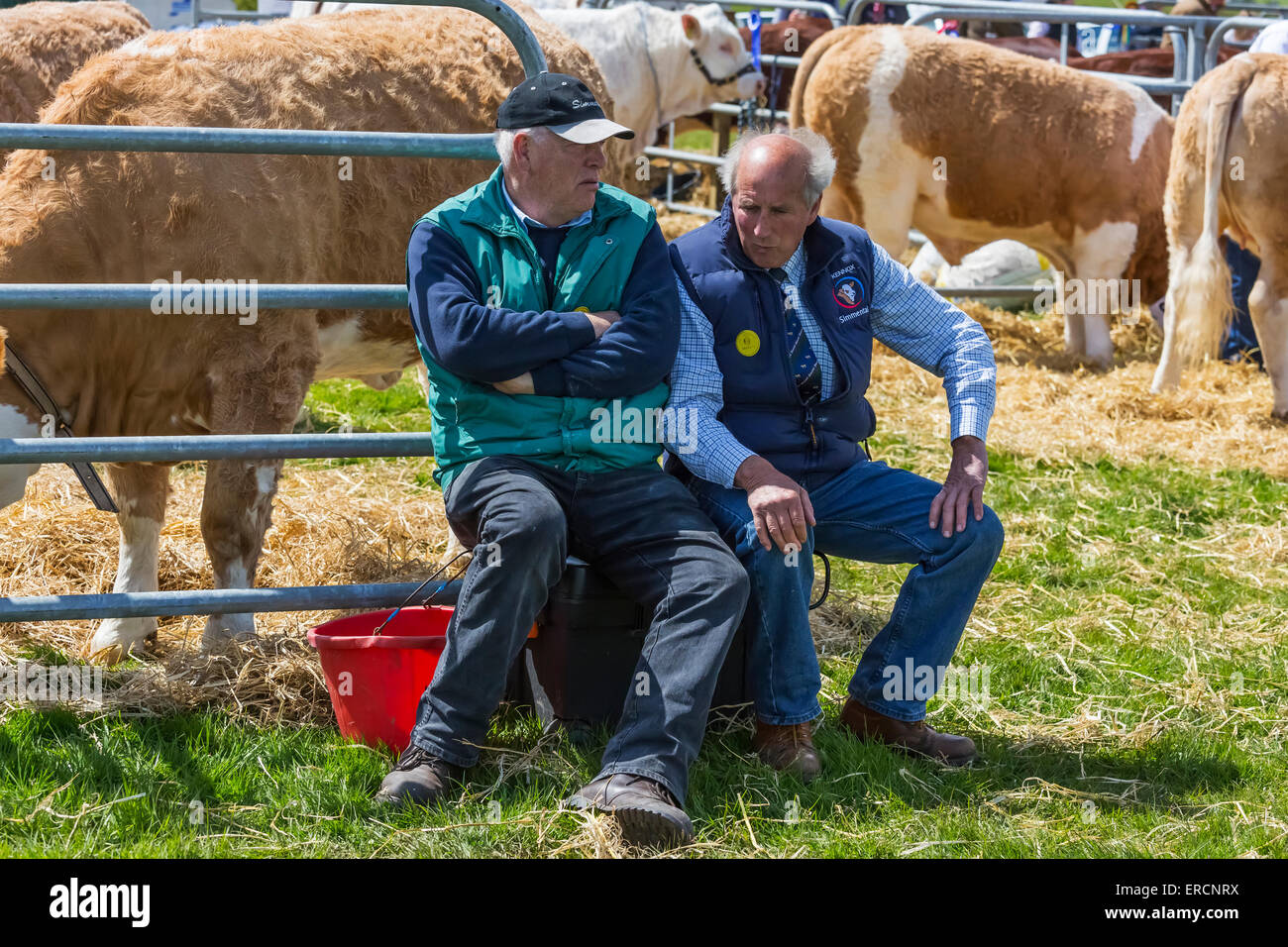 Due agricoltori avente una conversazione a un paese equo, Drymen, Scotland, Regno Unito Foto Stock