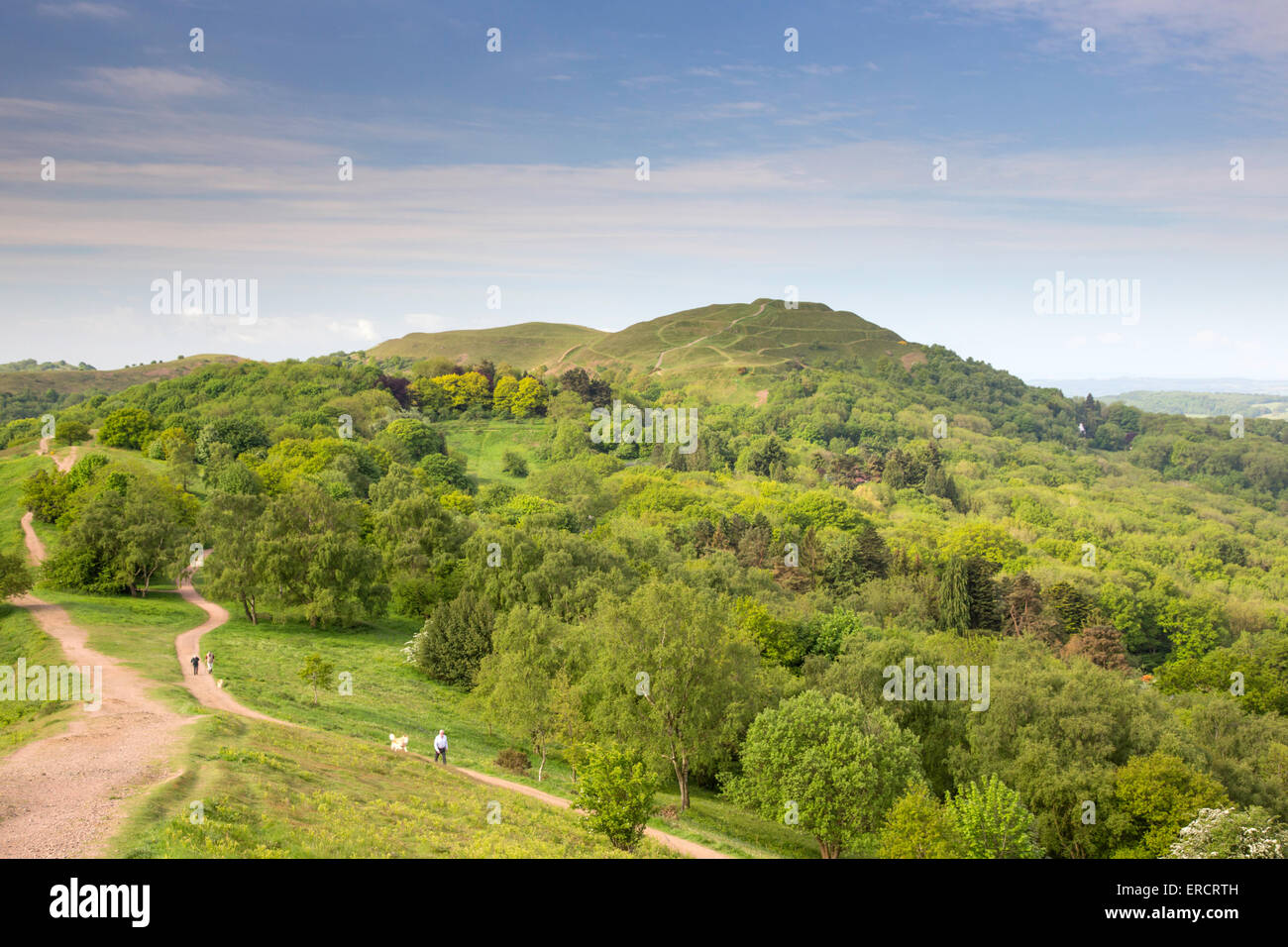 Primavera su Malvern Hills guardando a sud verso l'Herefordshire Beacon '(British Camp) , Worcestershire, Inghilterra. Regno Unito Foto Stock