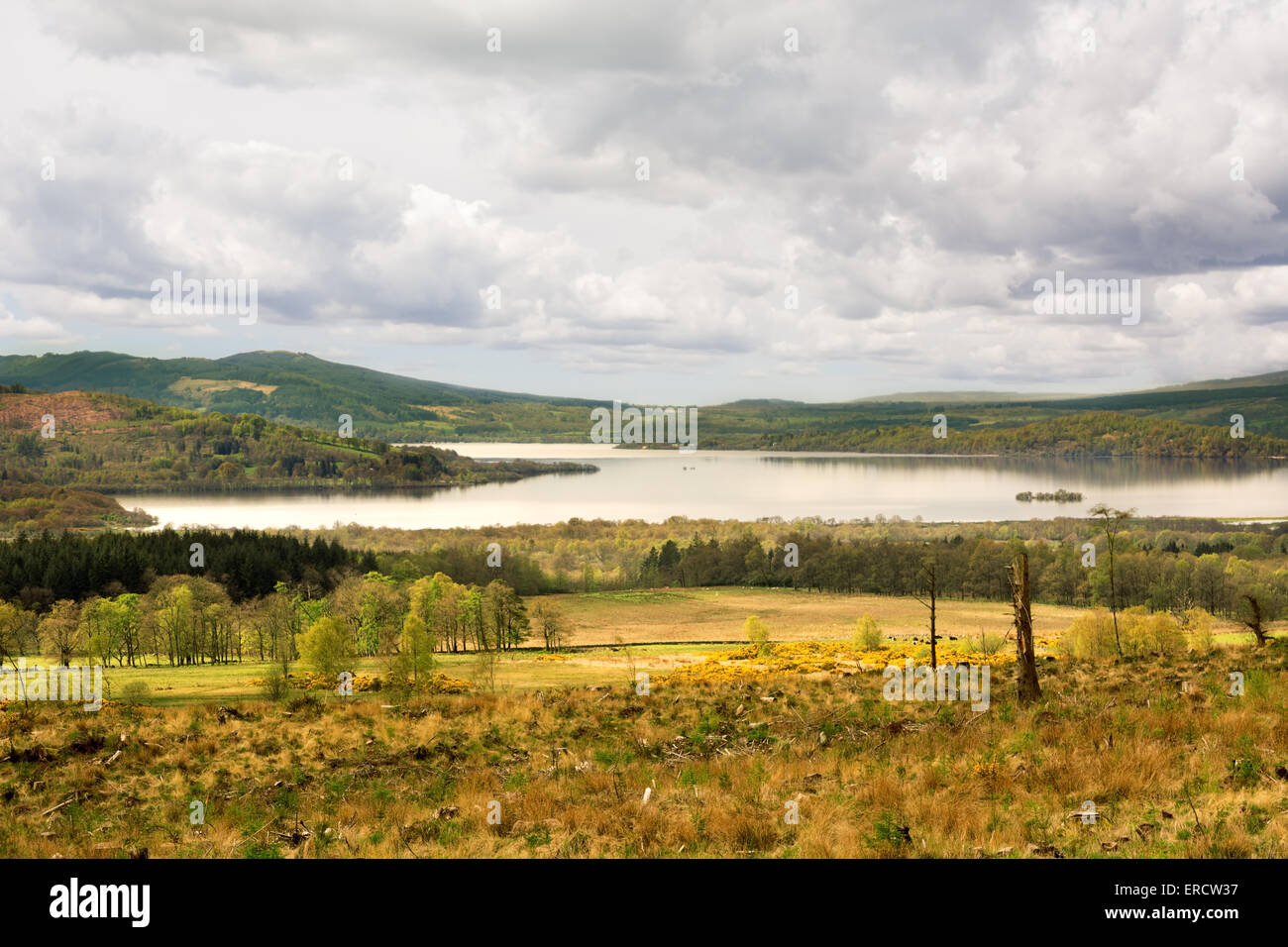 Vista sul Loch Lomond Scozia, dal West Highland Way sotto drammatico cielo nuvoloso Foto Stock