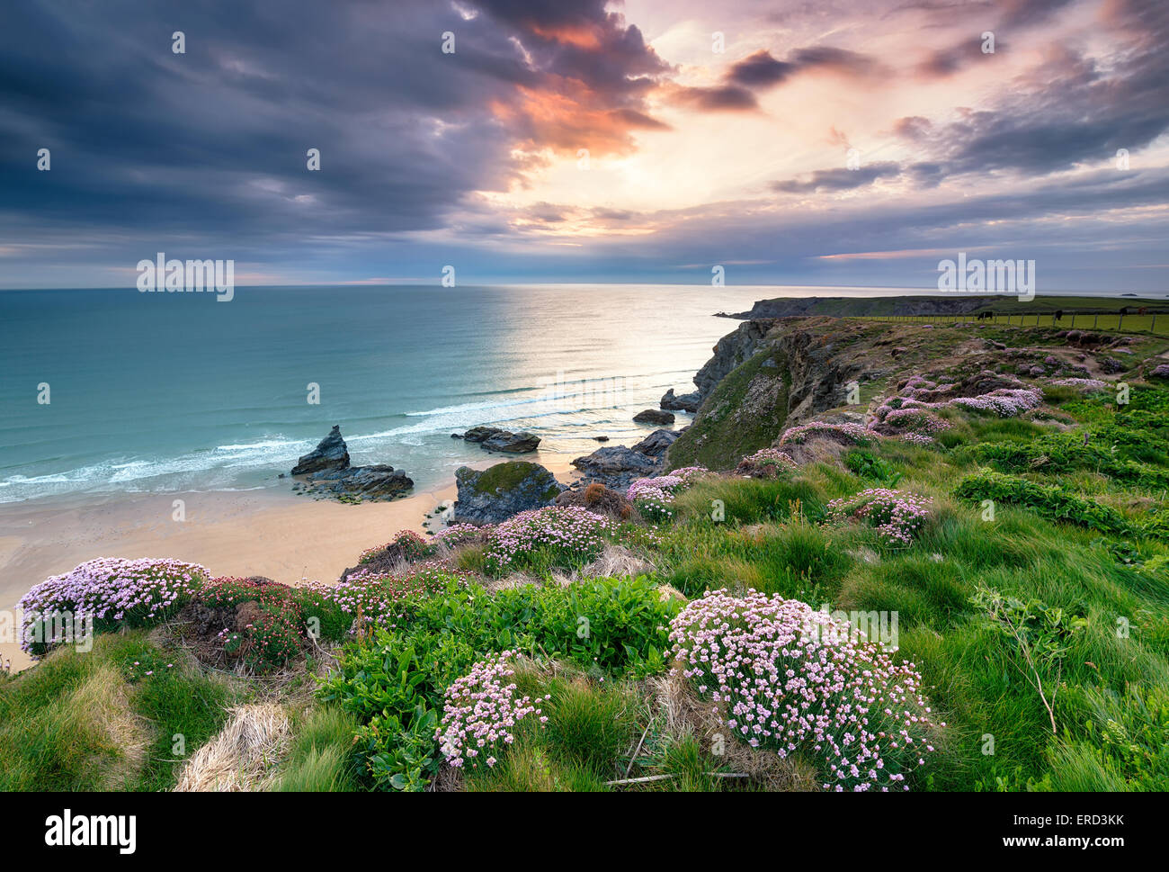 La parsimonia del mare sulle scogliere di Capo del parco sulla costa sud-ovest vicino percorso Porthcothan Bay Foto Stock