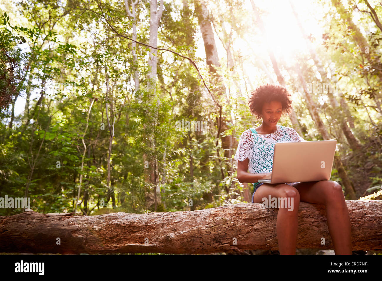 La donna si siede sul tronco di albero nella foresta utilizzando il computer portatile Foto Stock