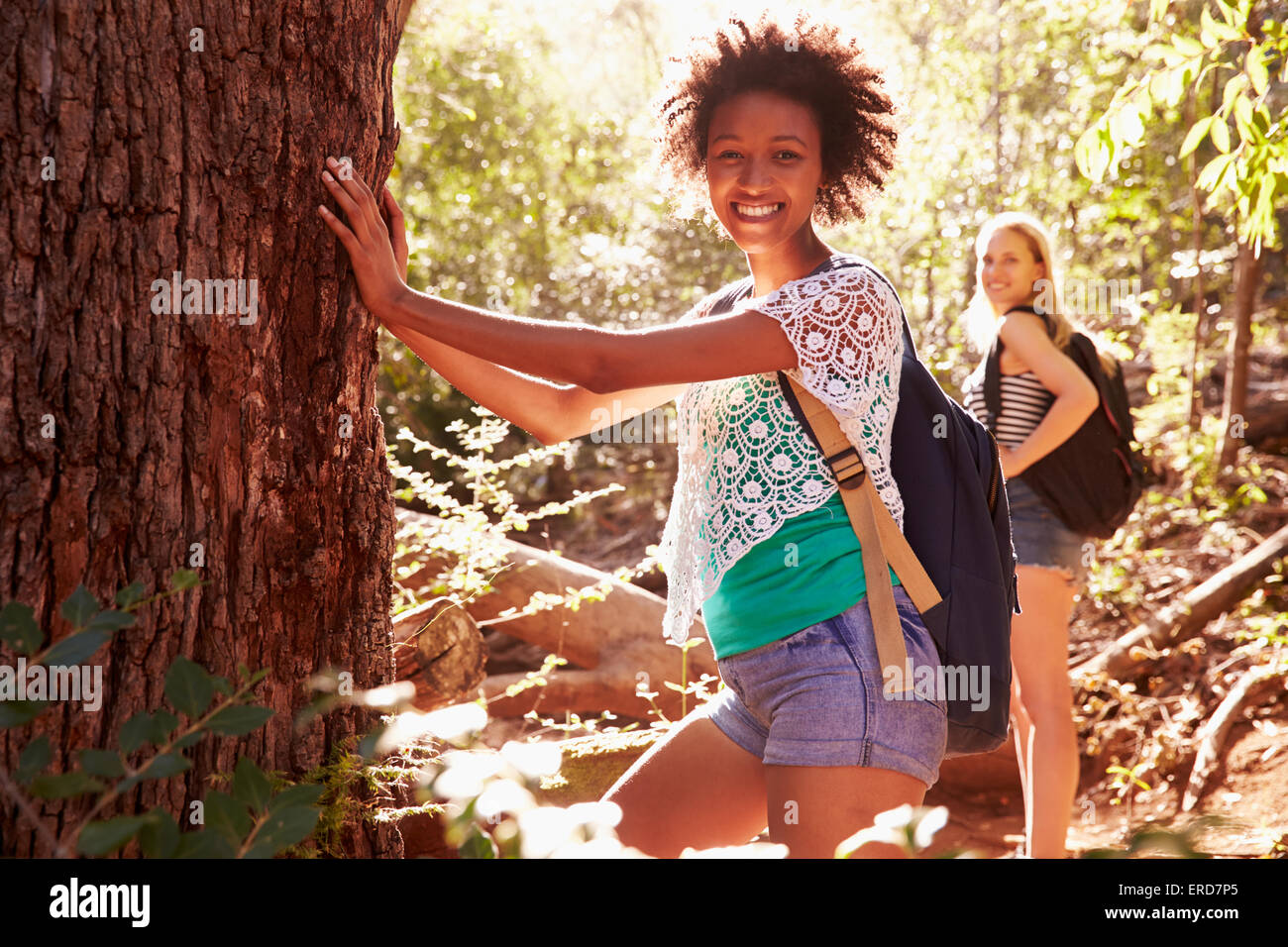 Le donne la messa in pausa dal tronco di albero in su a piedi attraverso la foresta Foto Stock