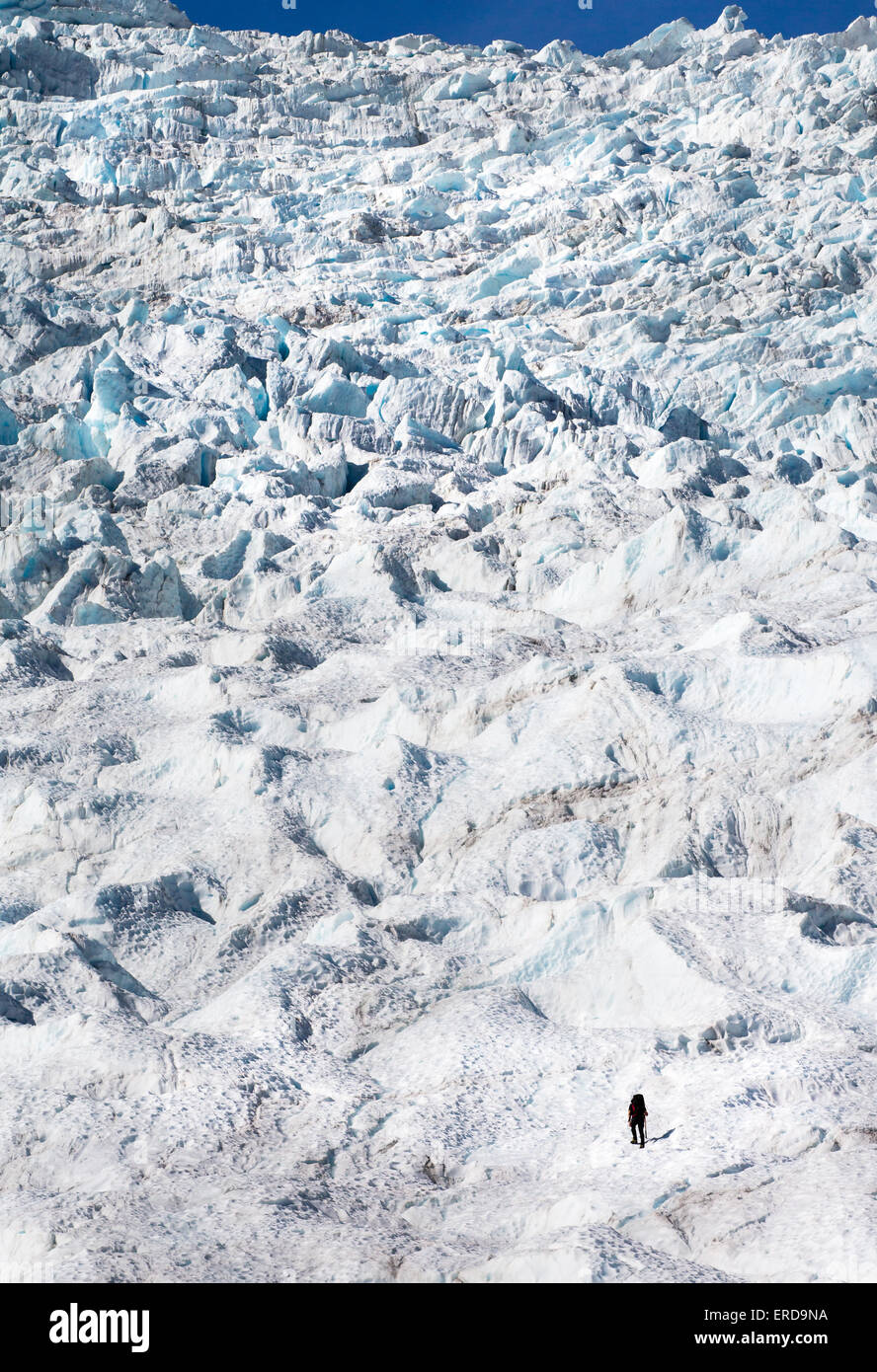 Un scalatore sopraffatte dalla massa torreggianti di blu ghiaccio del ghiacciaio Fox nelle Alpi del Sud dell Isola del Sud della Nuova Zelanda Foto Stock